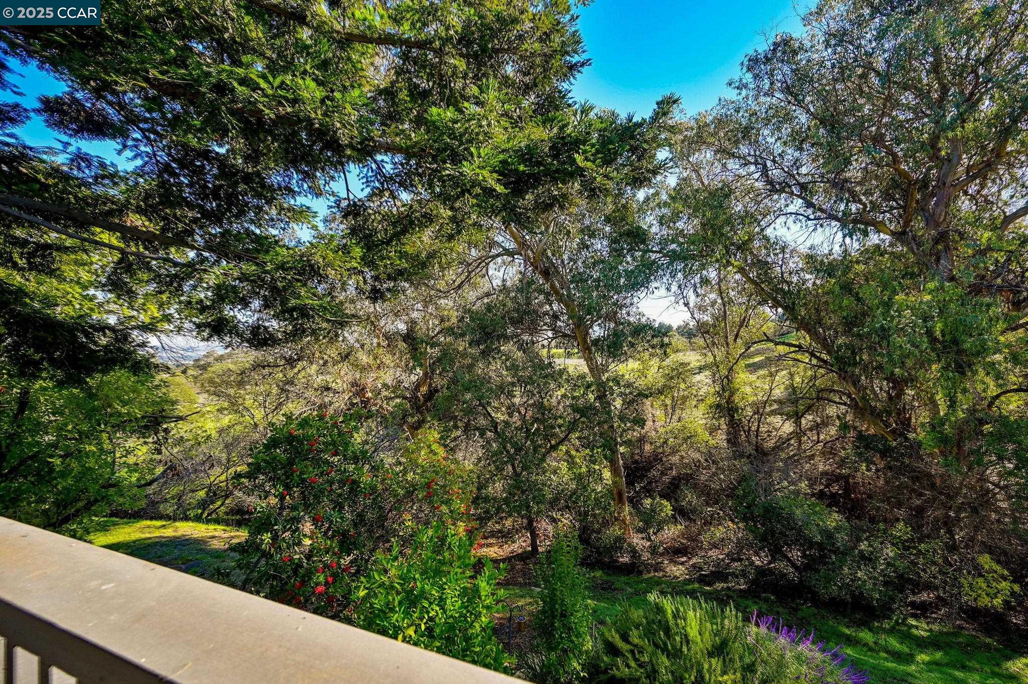 Detail Gallery Image 19 of 41 For 1566 Ashwood Dr, Martinez,  CA 94553 - 3 Beds | 1/1 Baths