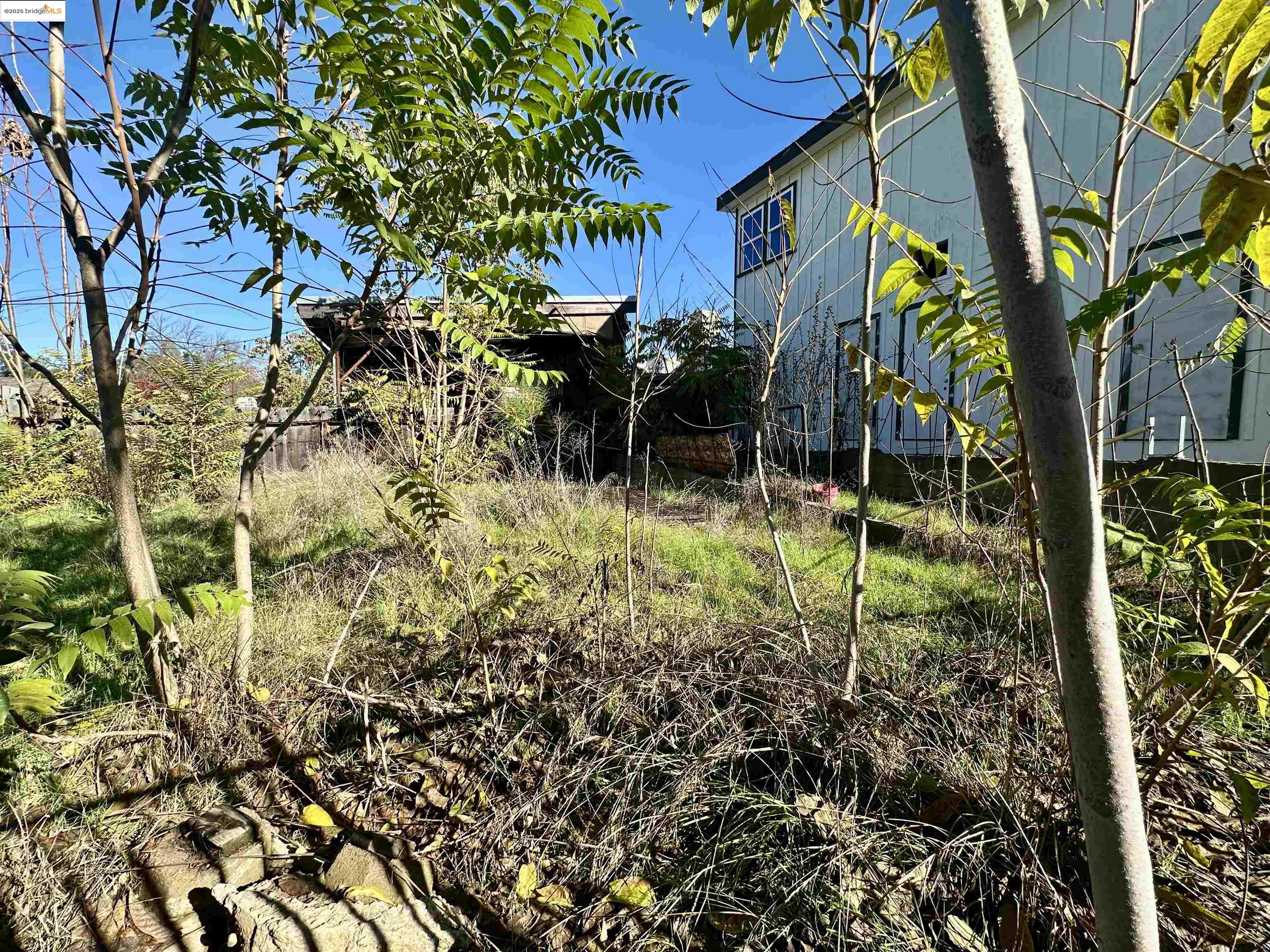 Detail Gallery Image 19 of 56 For 18228 Main Street, Jamestown,  CA 95327 - – Beds | – Baths