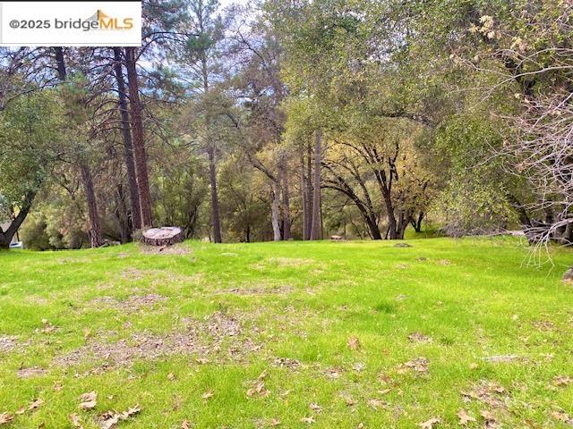 Front Image Thumbnail for EB41118065