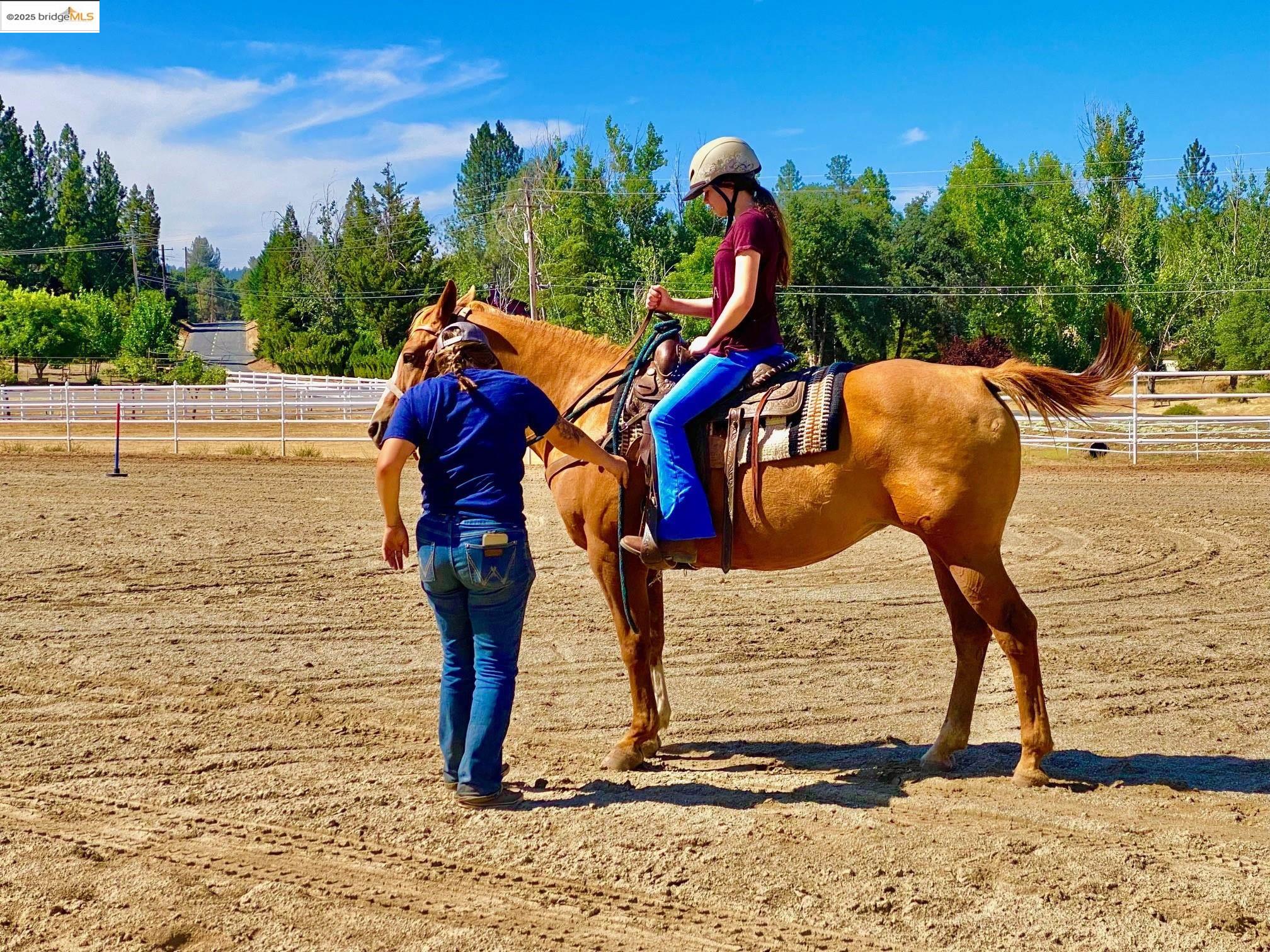 Detail Gallery Image 36 of 53 For 19703 Cottonwood St, Groveland,  CA 95321 - – Beds | – Baths