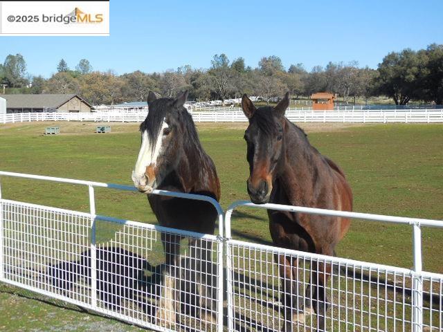 Detail Gallery Image 37 of 53 For 19703 Cottonwood St, Groveland,  CA 95321 - – Beds | – Baths