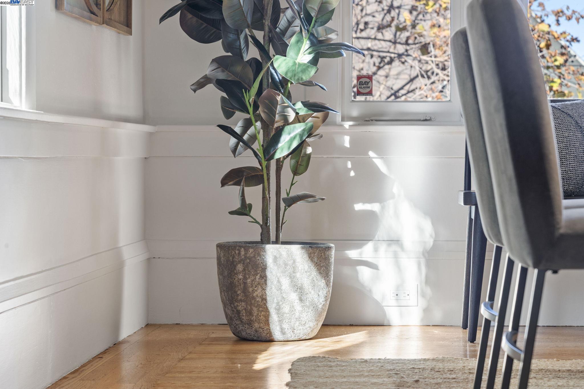 Detail Gallery Image 17 of 59 For 905 Alma Pl, Oakland,  CA 94610 - 3 Beds | 1/1 Baths