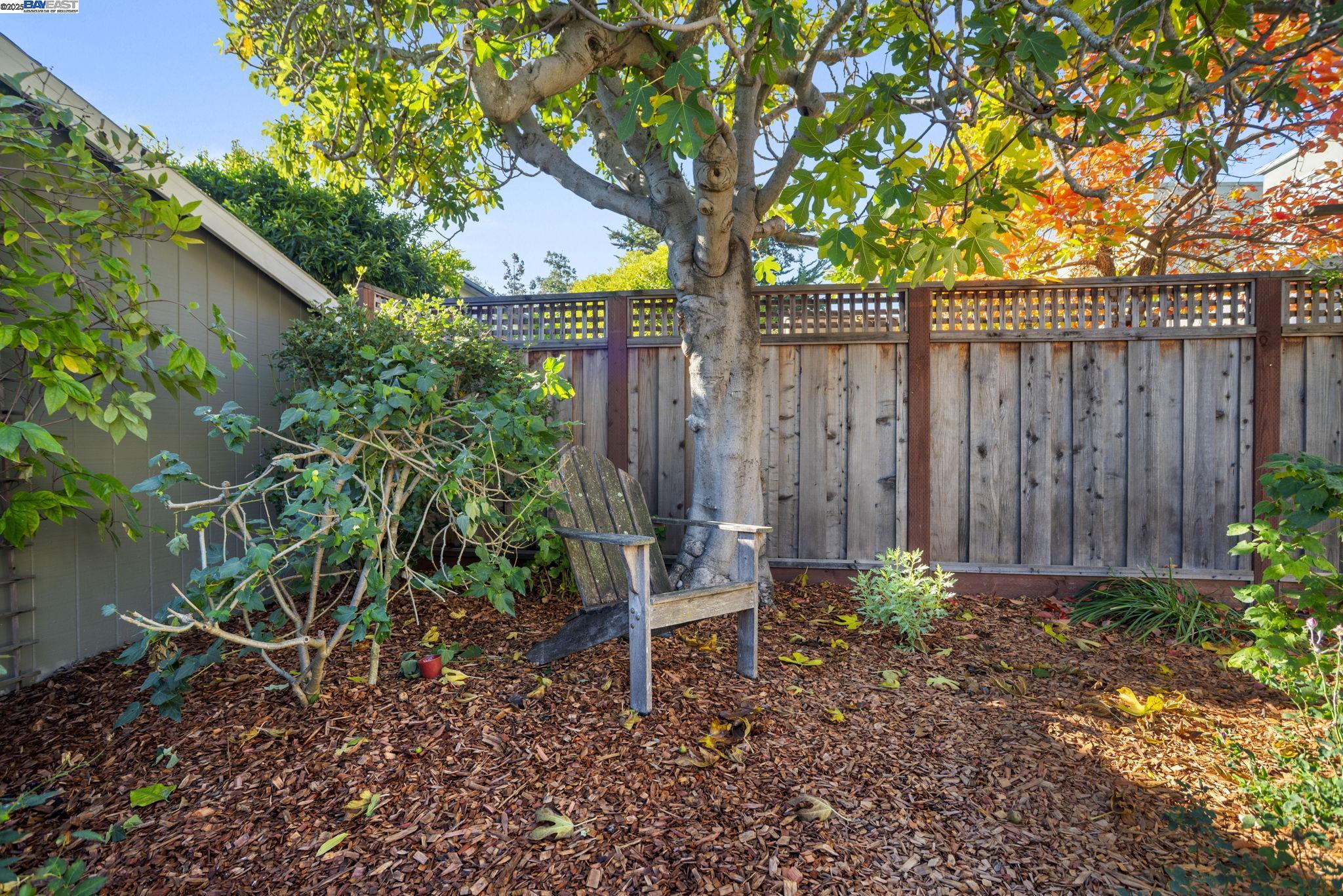 Detail Gallery Image 48 of 59 For 905 Alma Pl, Oakland,  CA 94610 - 3 Beds | 1/1 Baths