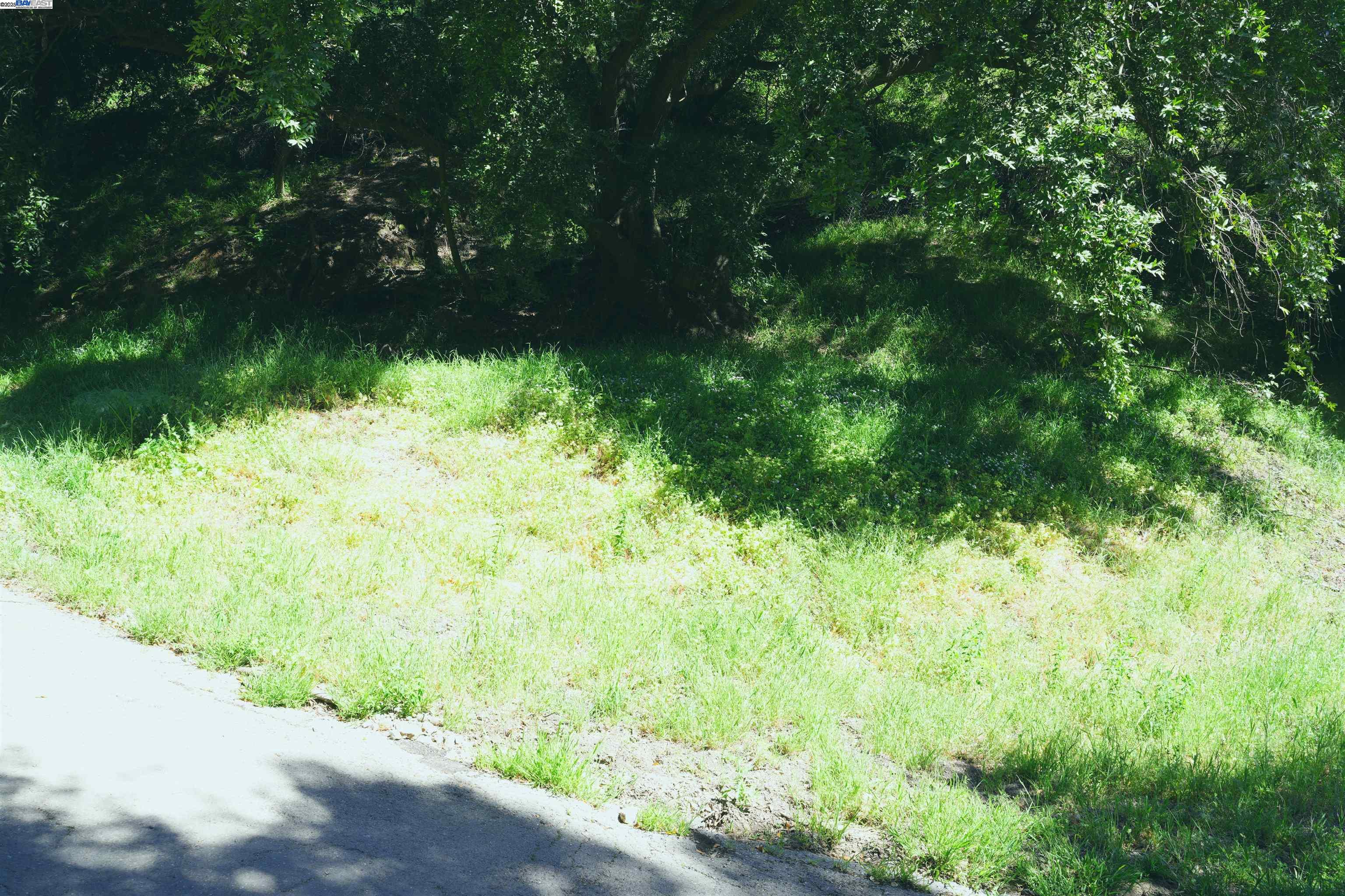 Detail Gallery Image 3 of 13 For 00 Willowbank Ct, Oakland,  CA 94611 - – Beds | – Baths