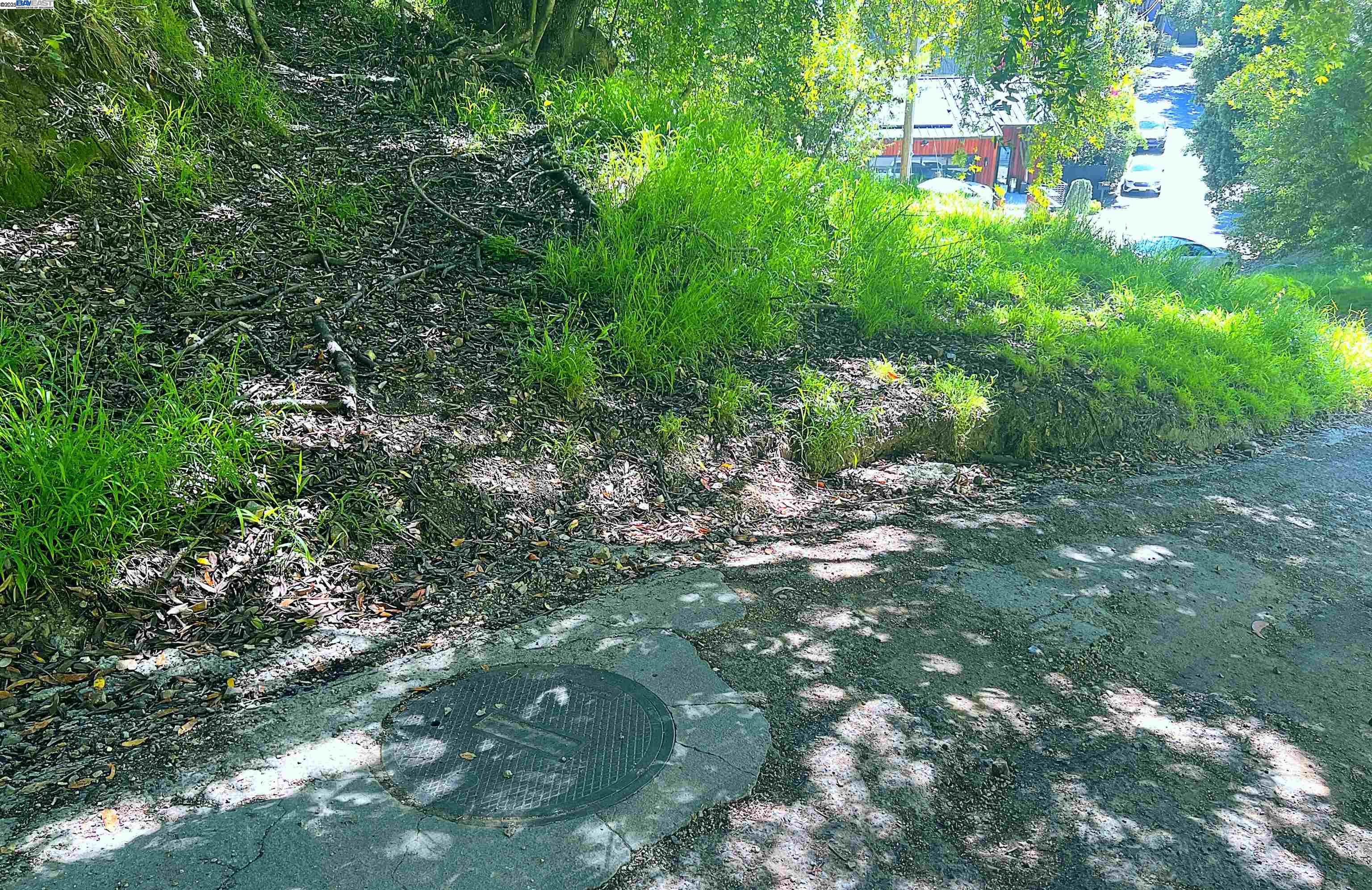 Detail Gallery Image 5 of 13 For 00 Willowbank Ct, Oakland,  CA 94611 - – Beds | – Baths