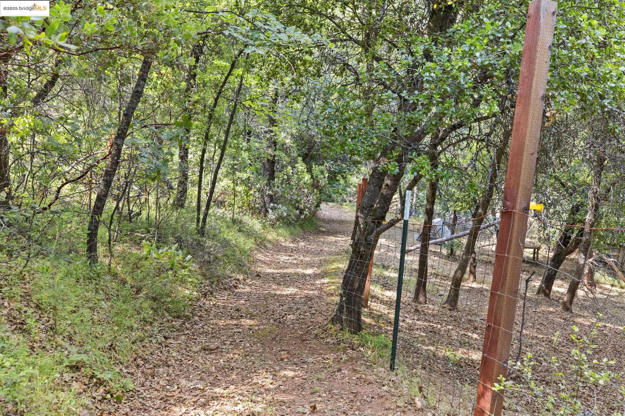 Detail Gallery Image 41 of 60 For 20638 Maranatha Rd., Tuolumne,  CA 95379 - – Beds | – Baths