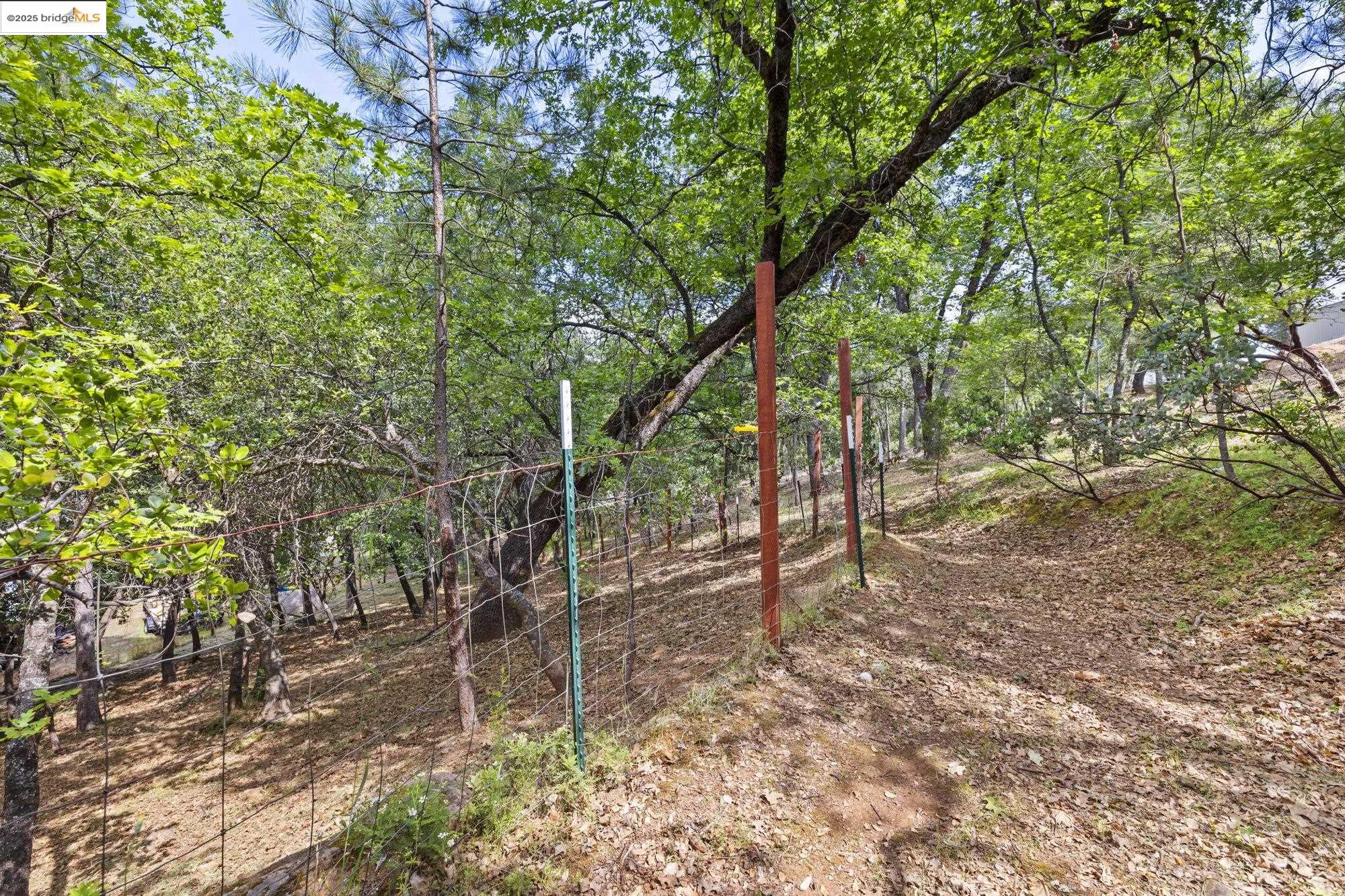 Detail Gallery Image 42 of 60 For 20638 Maranatha Rd., Tuolumne,  CA 95379 - – Beds | – Baths