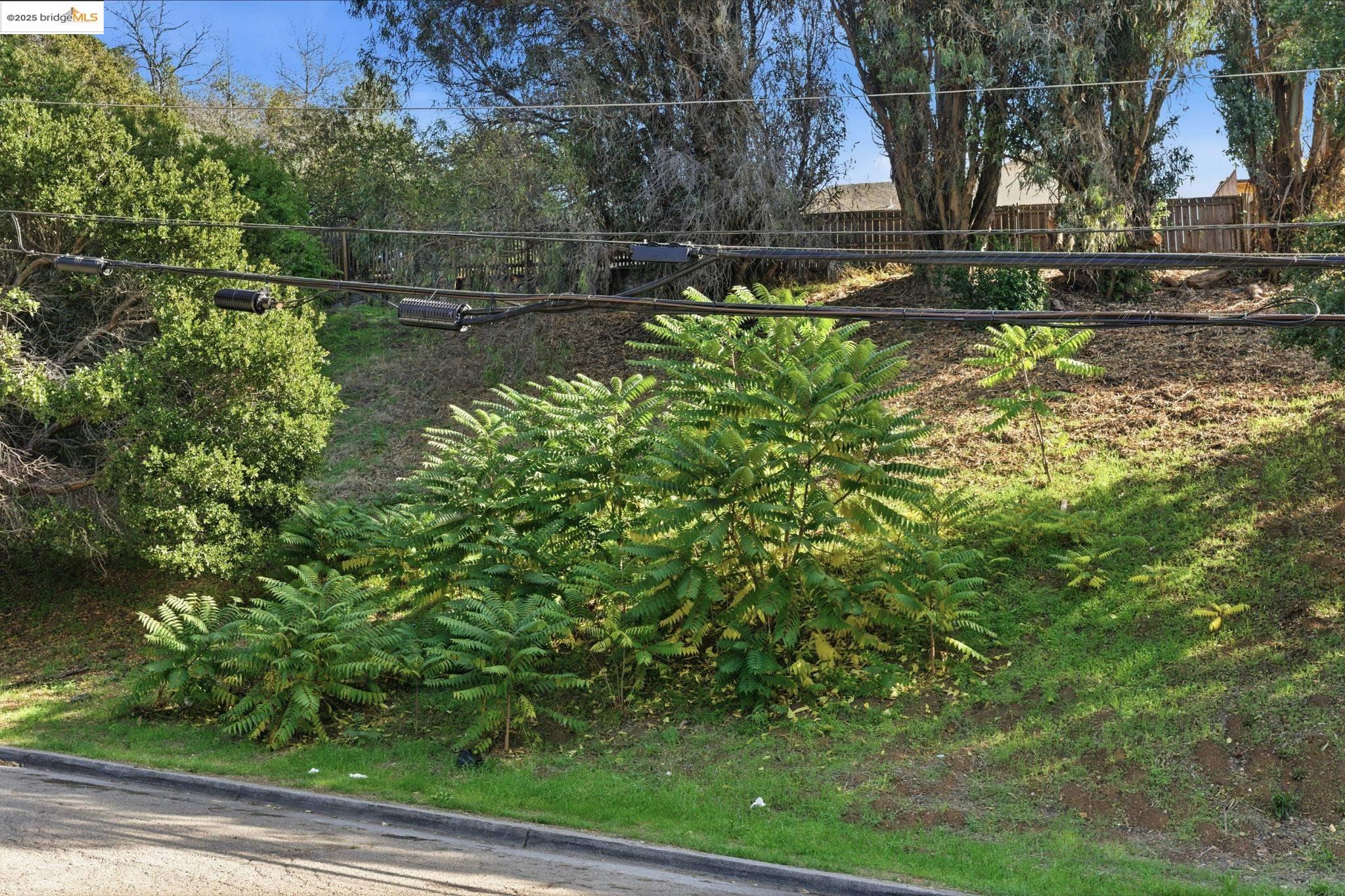 Detail Gallery Image 3 of 21 For 9670 Mountain Blvd, Oakland,  CA 94605 - – Beds | – Baths