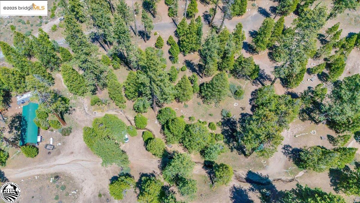 Detail Gallery Image 51 of 59 For 1 Highway 108, Strawberry,  CA 95314 - – Beds | – Baths