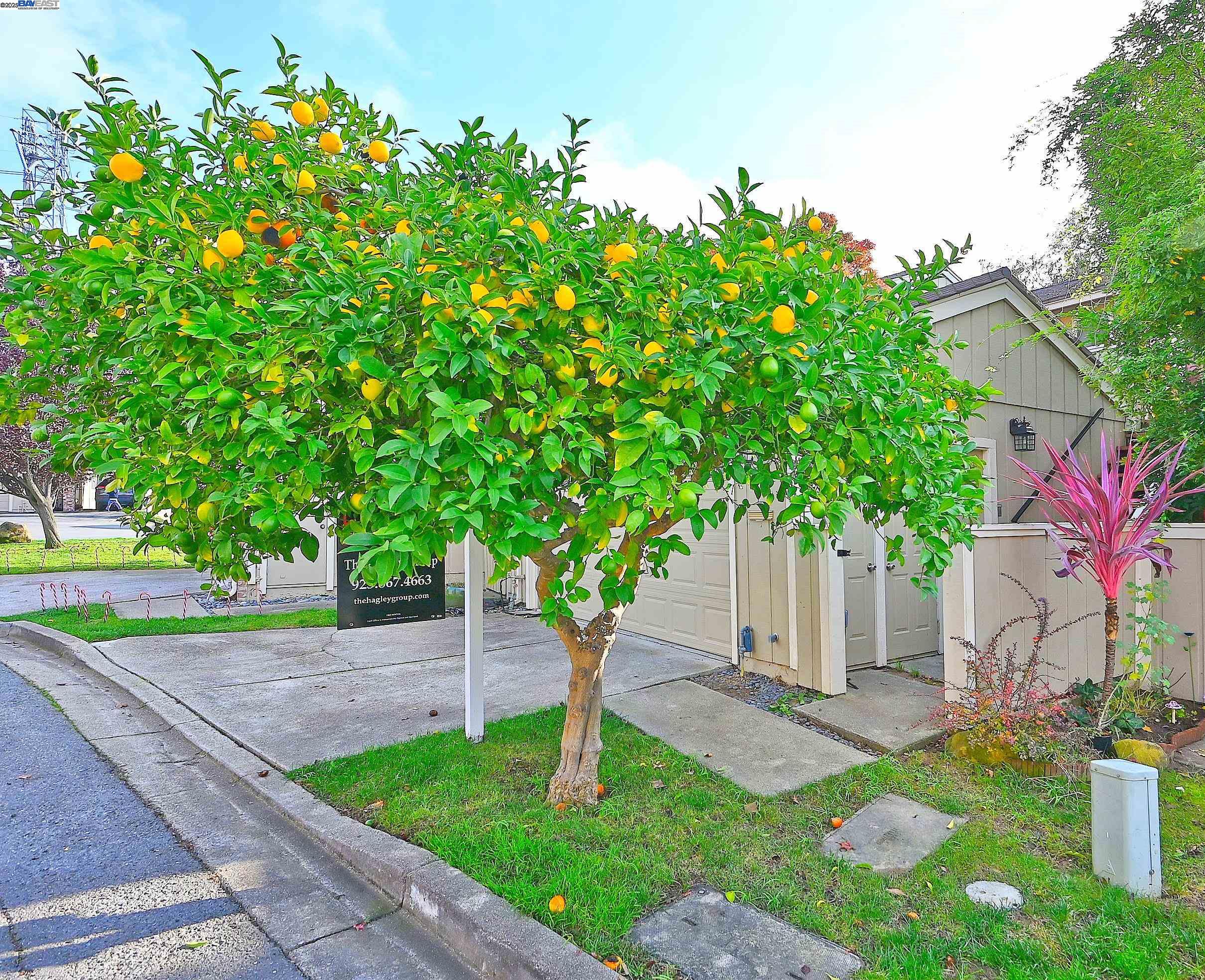 Detail Gallery Image 3 of 30 For 405 Thistle Cir, Martinez,  CA 94553 - 3 Beds | 2/1 Baths