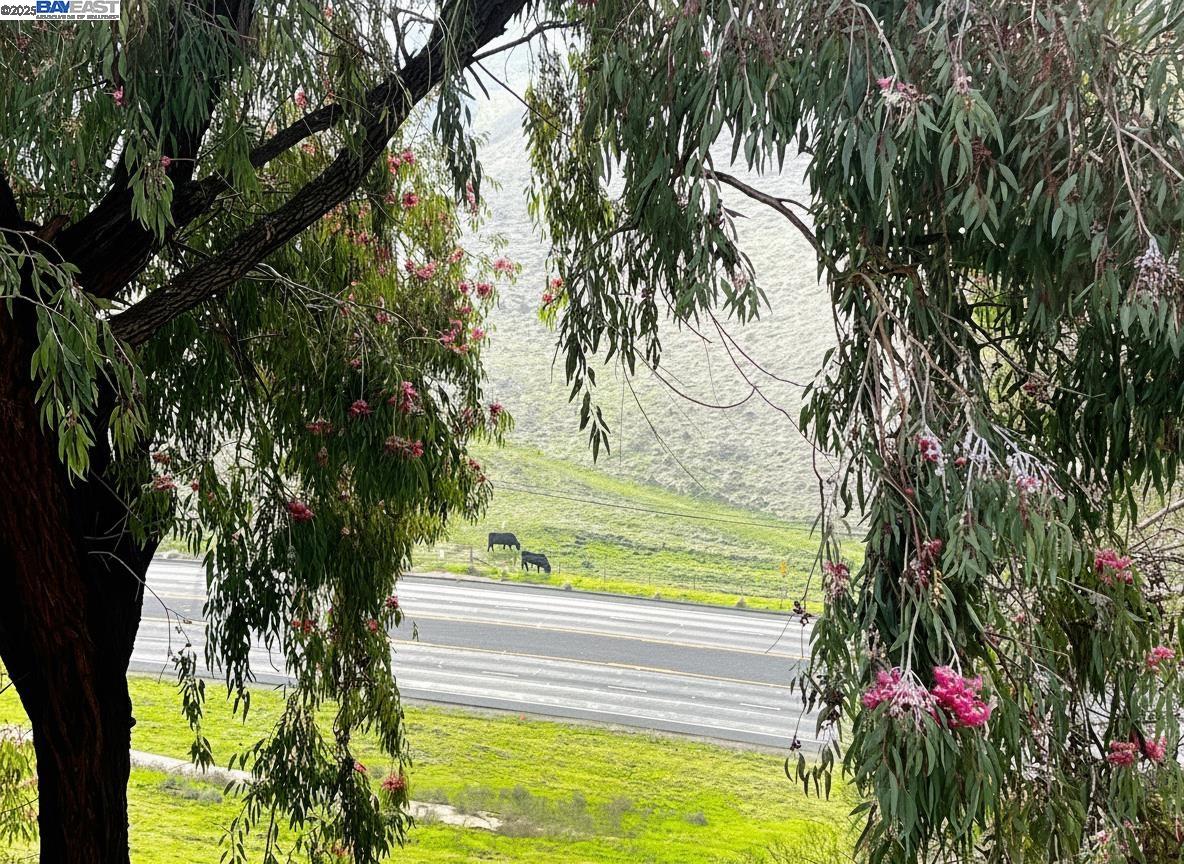 Detail Gallery Image 25 of 30 For 405 Thistle Cir, Martinez,  CA 94553 - 3 Beds | 2/1 Baths