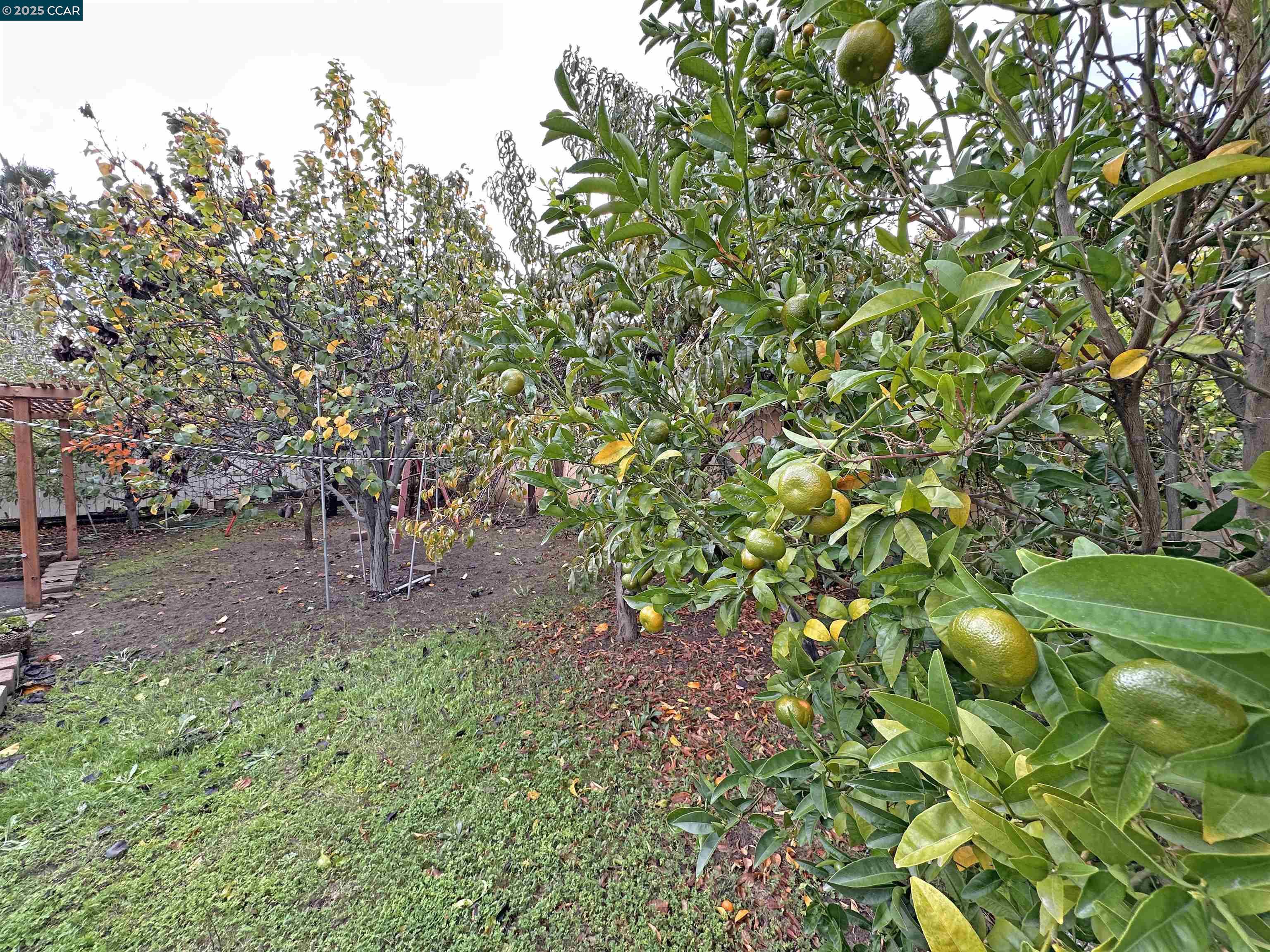 Detail Gallery Image 22 of 23 For 2054 Mendocino Dr, Bay Point,  CA 94565 - 2 Beds | 2 Baths