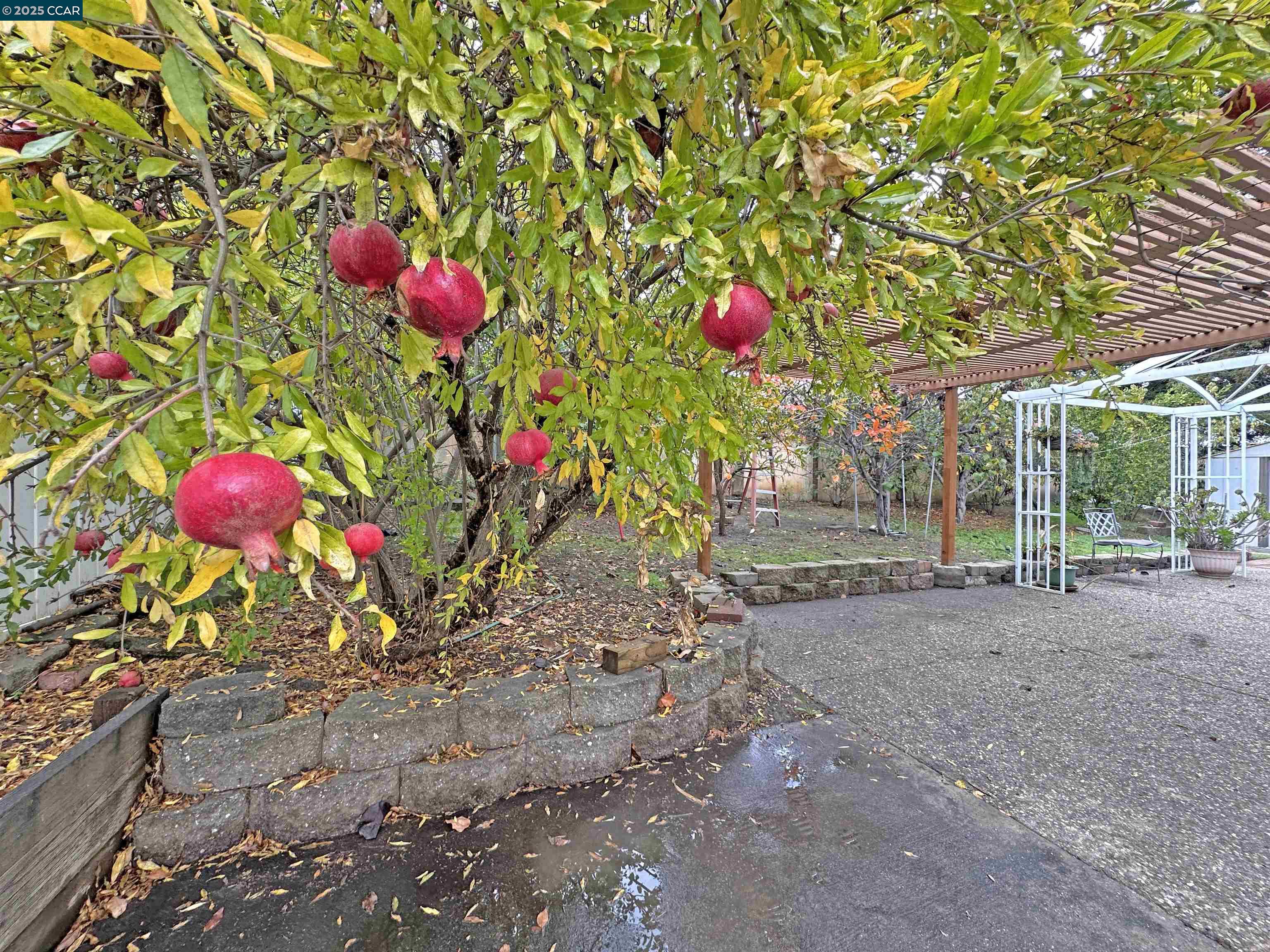 Detail Gallery Image 23 of 23 For 2054 Mendocino Dr, Bay Point,  CA 94565 - 2 Beds | 2 Baths