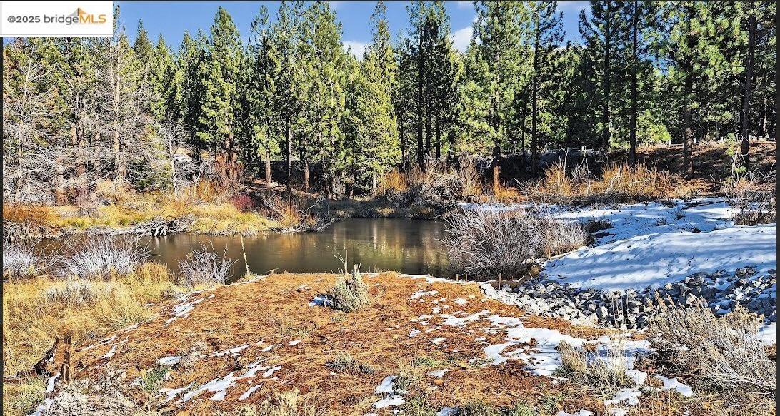 Detail Gallery Image 45 of 49 For 2524 Cattlemans Trl, South Lake Tahoe,  CA 96150 - 3 Beds | 3 Baths