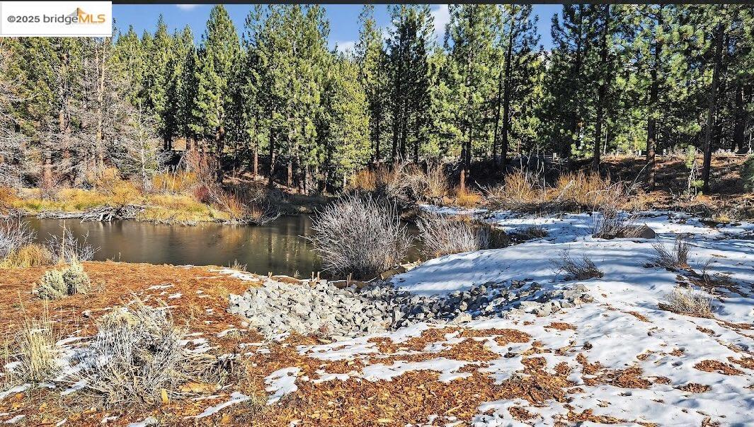 Detail Gallery Image 46 of 49 For 2524 Cattlemans Trl, South Lake Tahoe,  CA 96150 - 3 Beds | 3 Baths