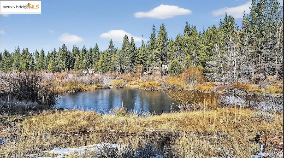 Detail Gallery Image 47 of 49 For 2524 Cattlemans Trl, South Lake Tahoe,  CA 96150 - 3 Beds | 3 Baths