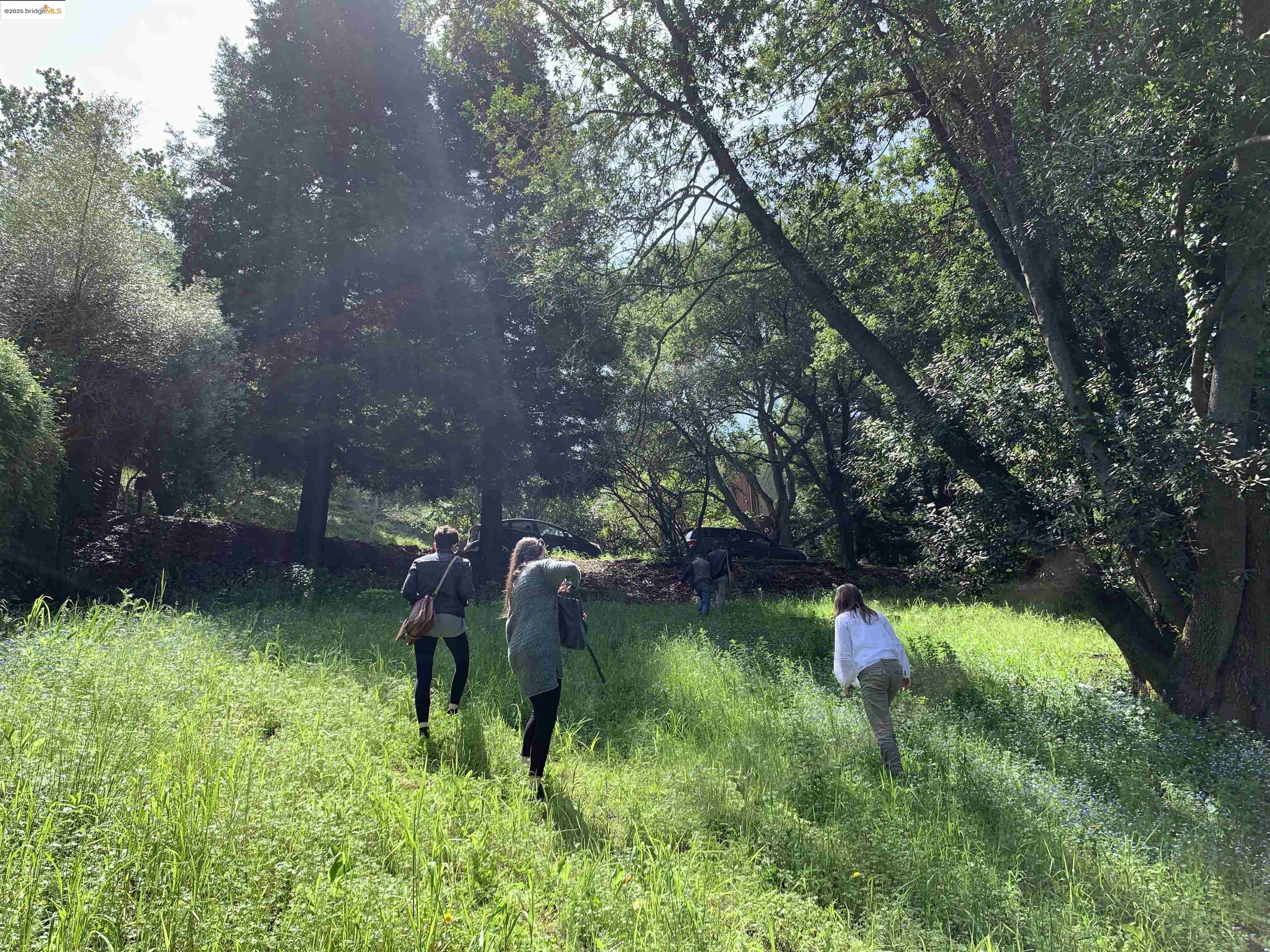 Detail Gallery Image 6 of 9 For 8018 Alvarado Rd., Oakland,  CA 94705 - – Beds | – Baths