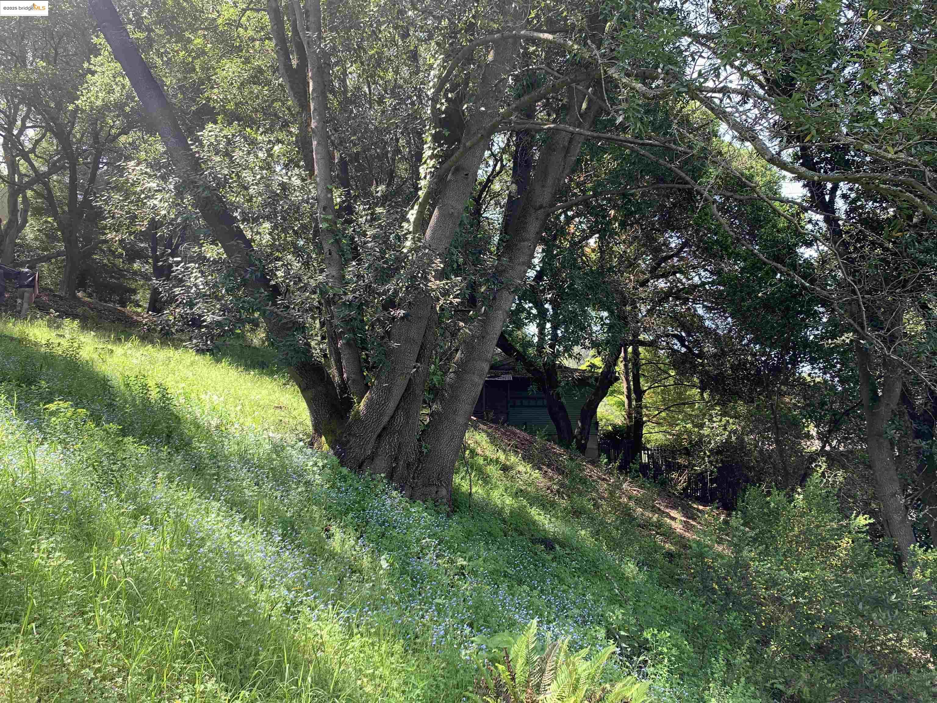 Detail Gallery Image 7 of 9 For 8018 Alvarado Rd., Oakland,  CA 94705 - – Beds | – Baths