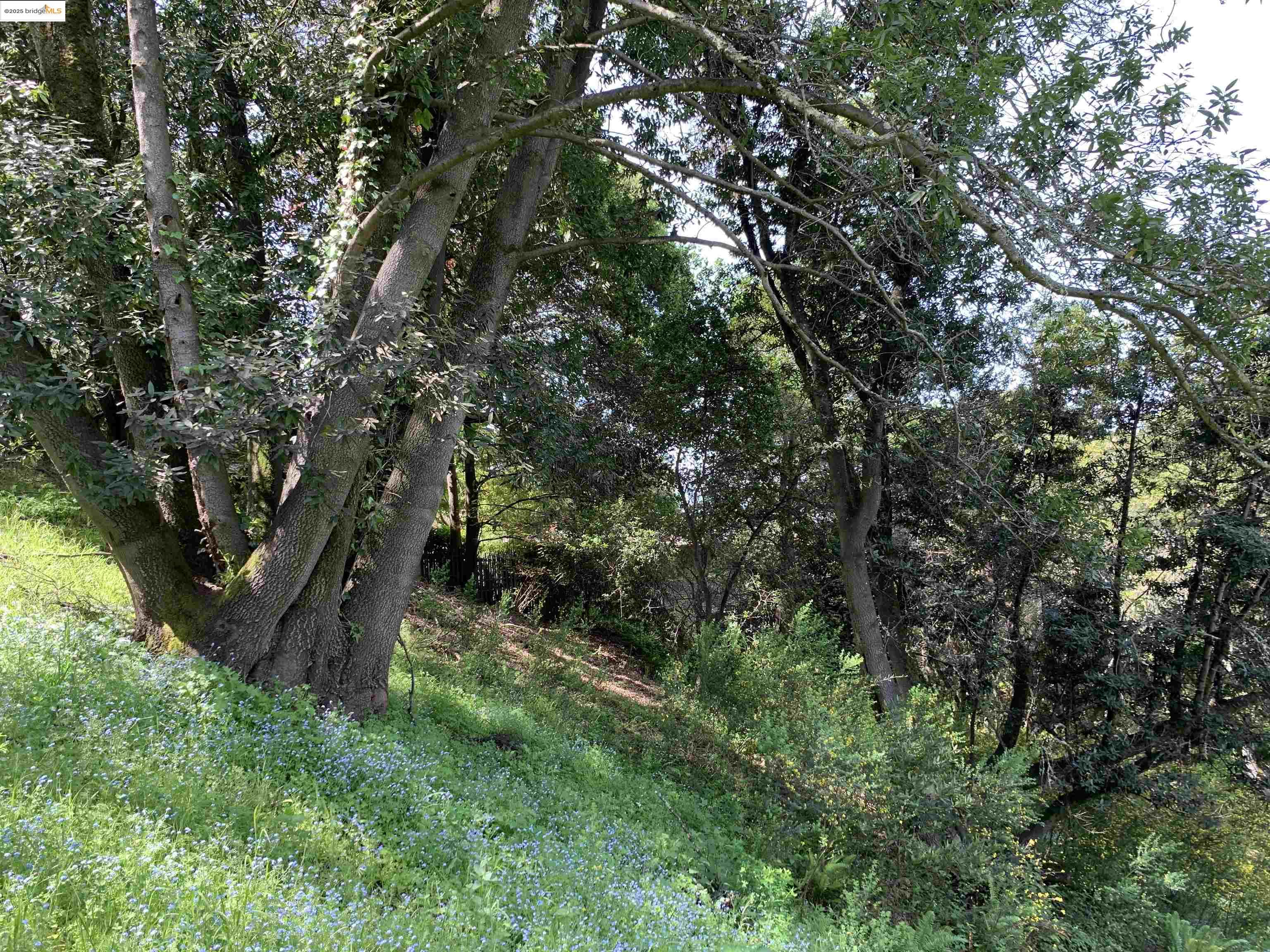 Detail Gallery Image 8 of 9 For 8018 Alvarado Rd., Oakland,  CA 94705 - – Beds | – Baths