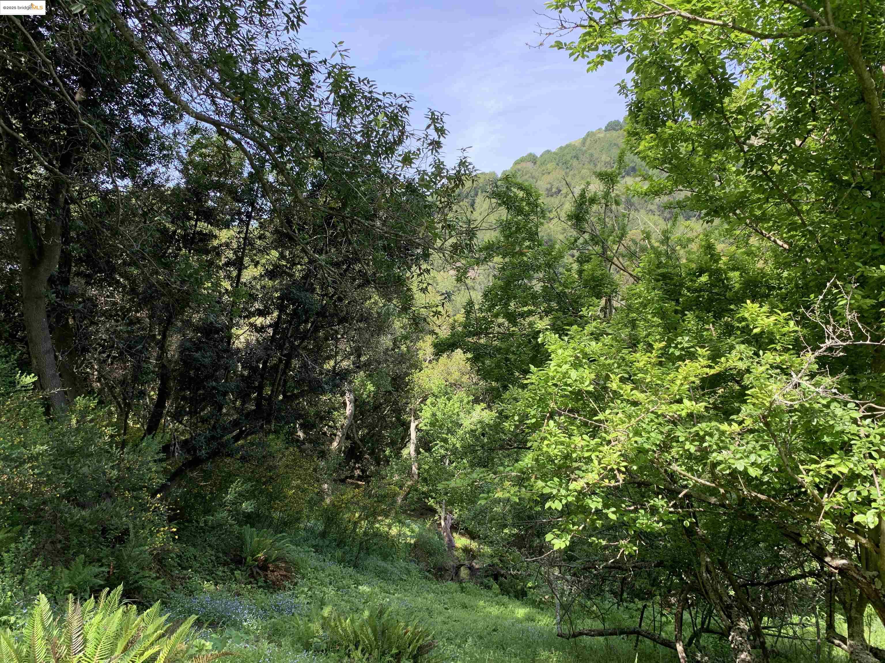 Detail Gallery Image 9 of 9 For 8018 Alvarado Rd., Oakland,  CA 94705 - – Beds | – Baths