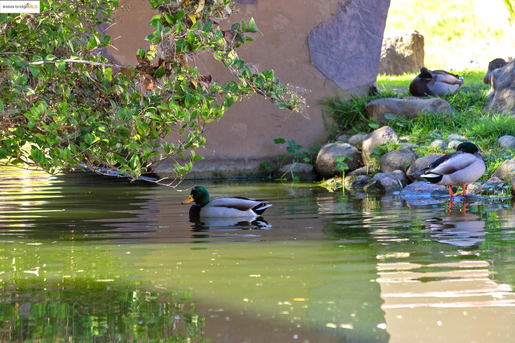 Photo #31: 41118173 Listing: Photo #31