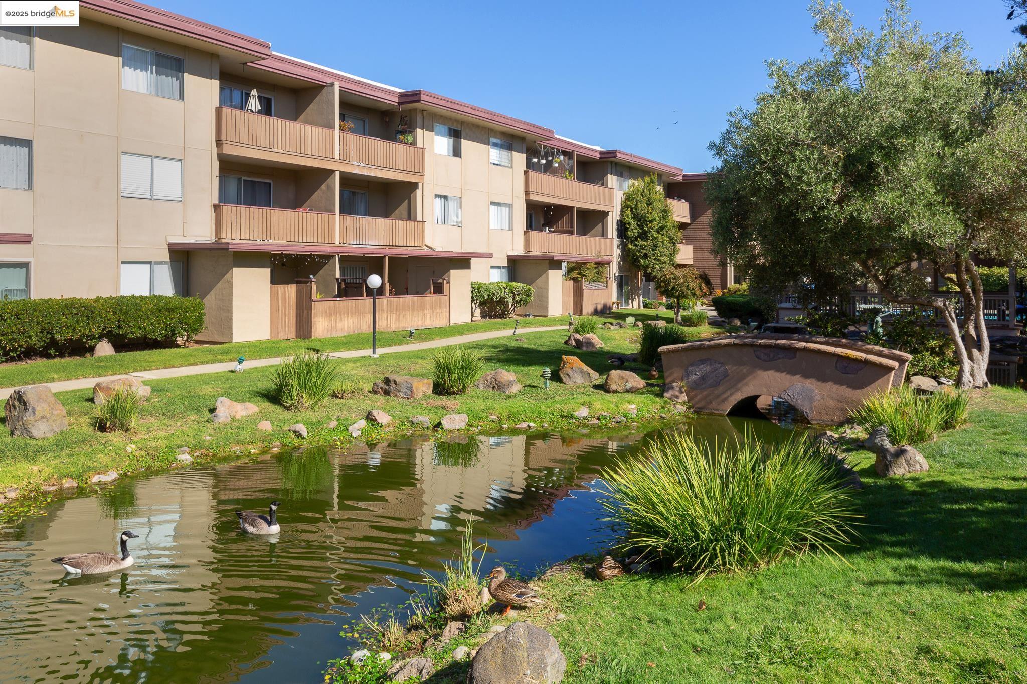 Photo #33: 41118173 Listing: Photo #33