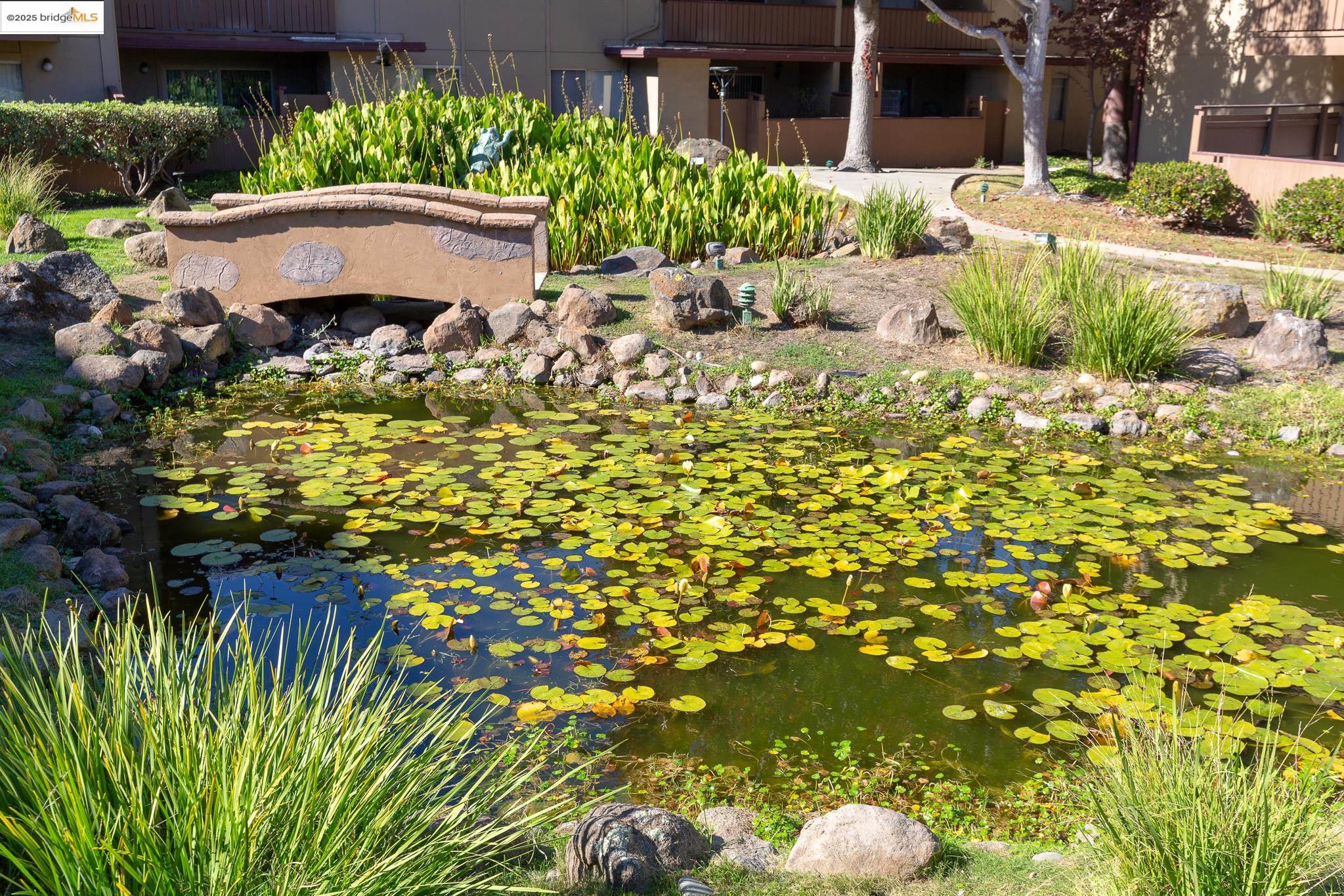 Photo #34: 41118173 Listing: Photo #34