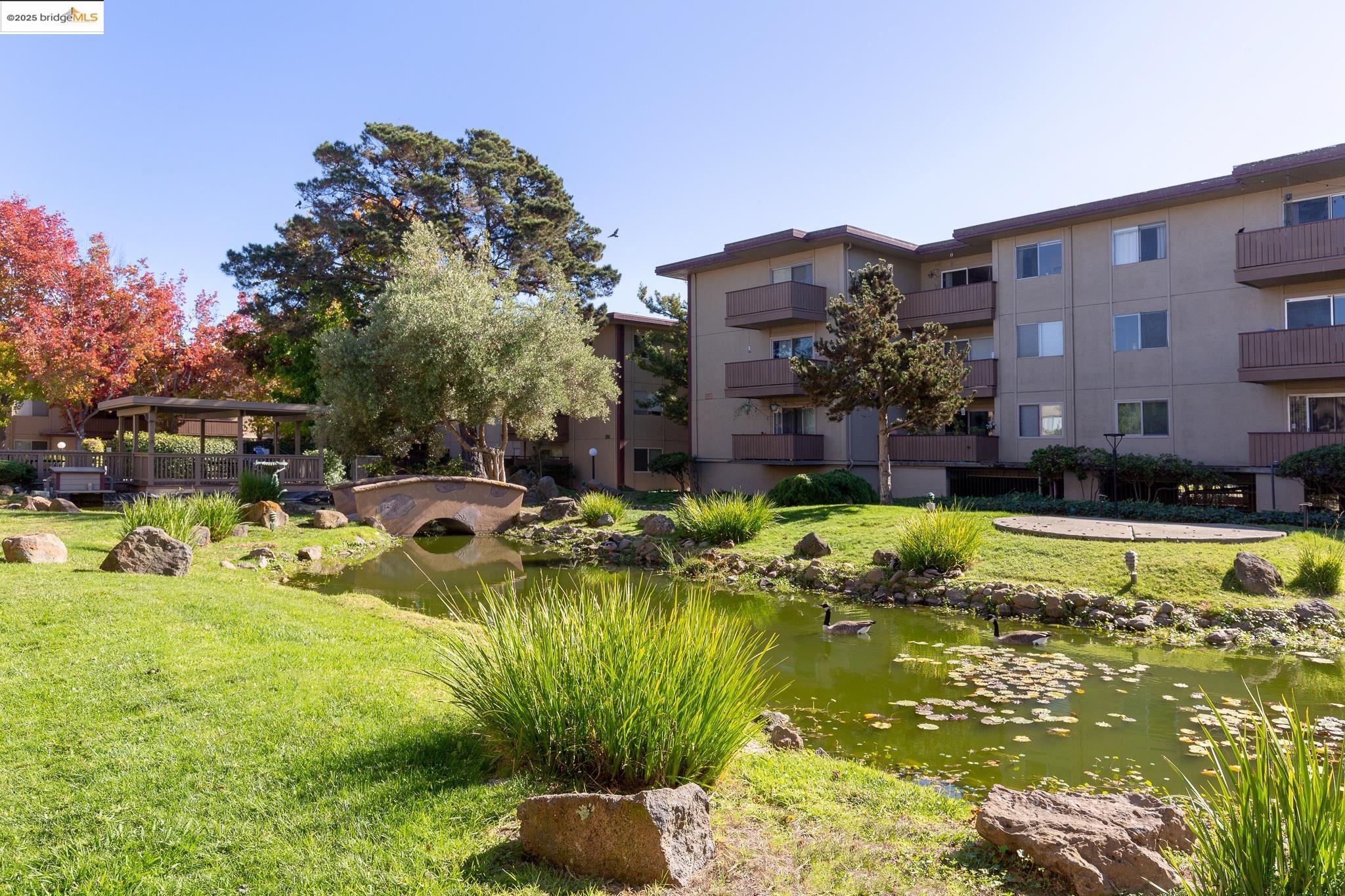 Photo #35: 41118173 Listing: Photo #35