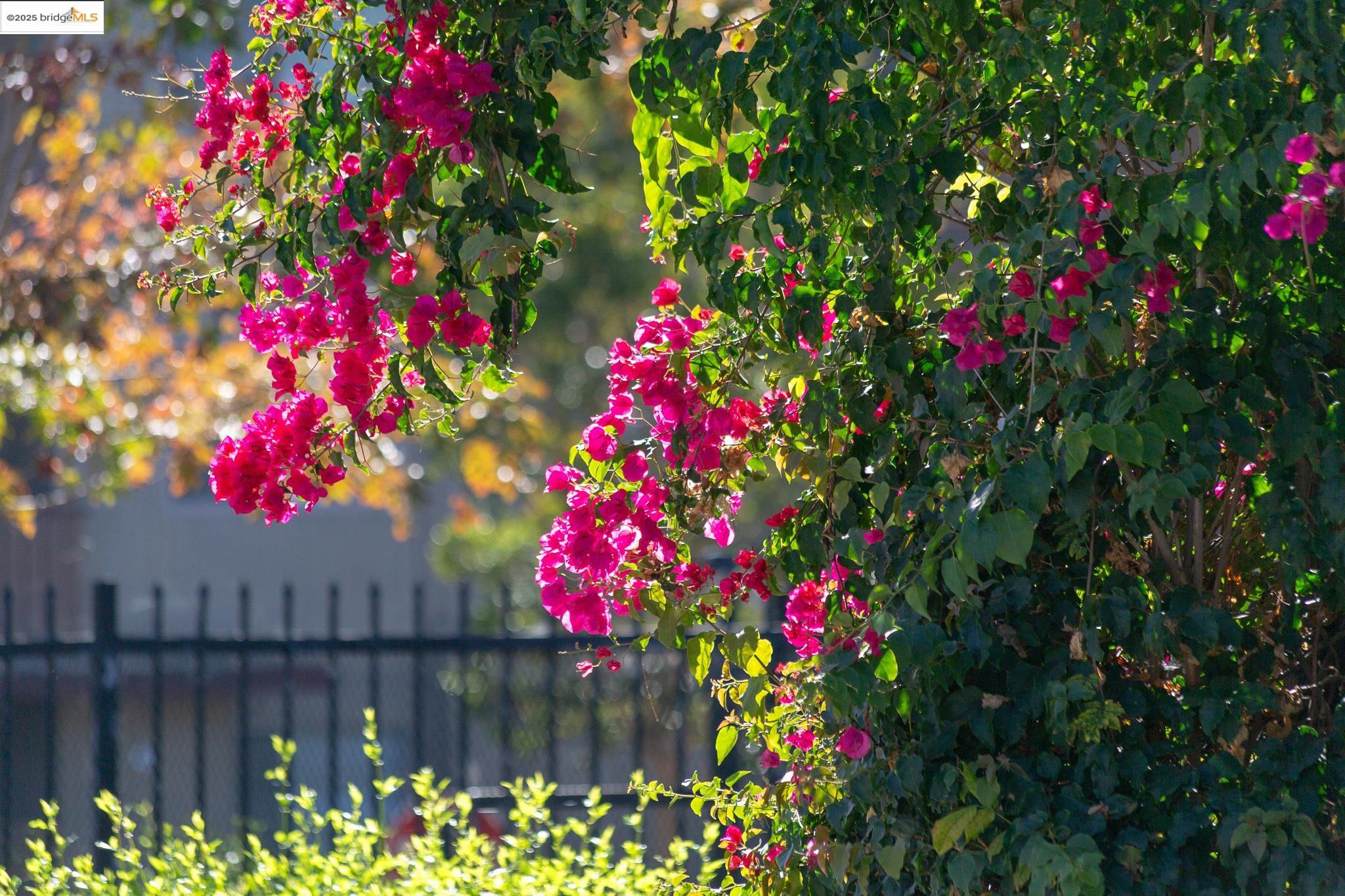 Photo #39: 41118173 Listing: Photo #39