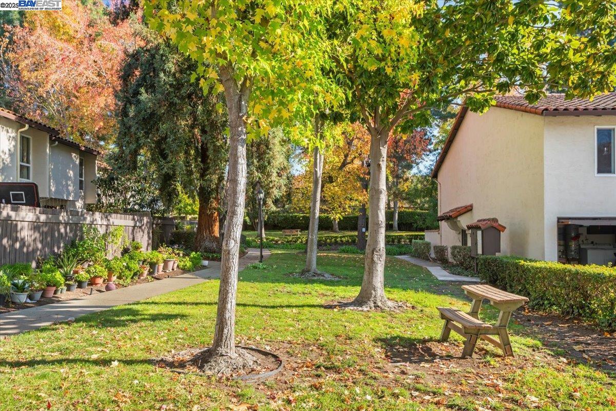 Photo #30: 41118181 Listing: Photo #30