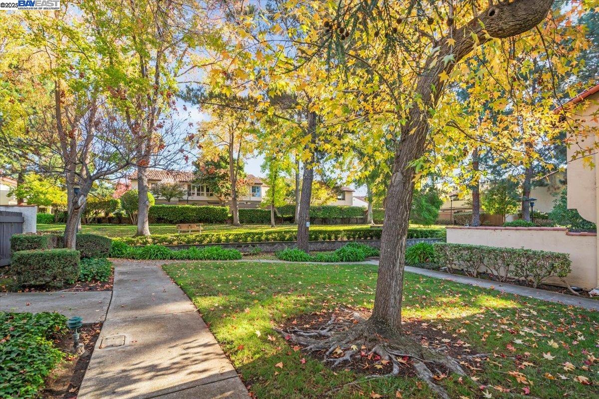 Photo #31: 41118181 Listing: Photo #31