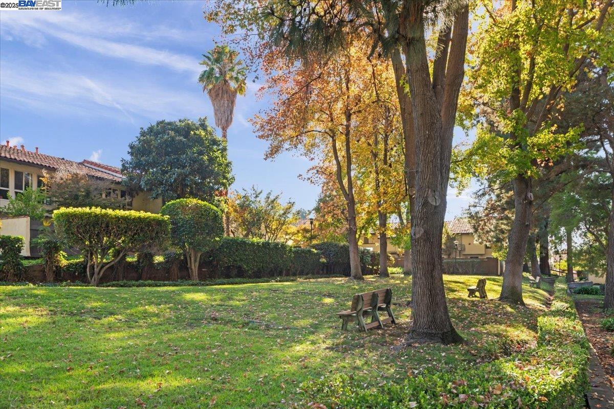 Photo #33: 41118181 Listing: Photo #33