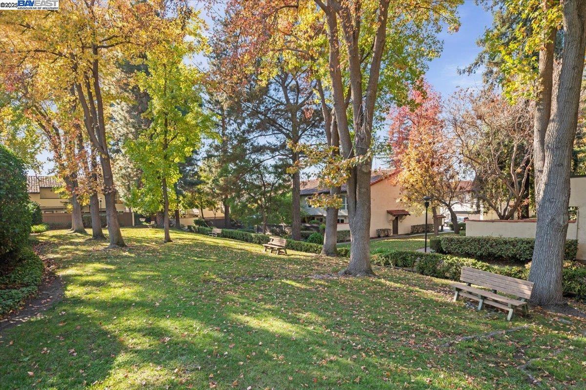 Photo #34: 41118181 Listing: Photo #34