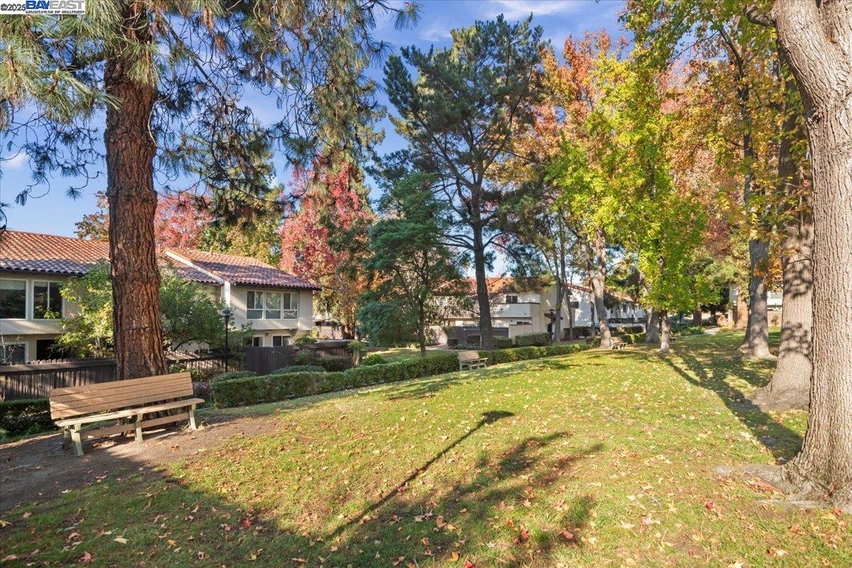 Photo #35: 41118181 Listing: Photo #35