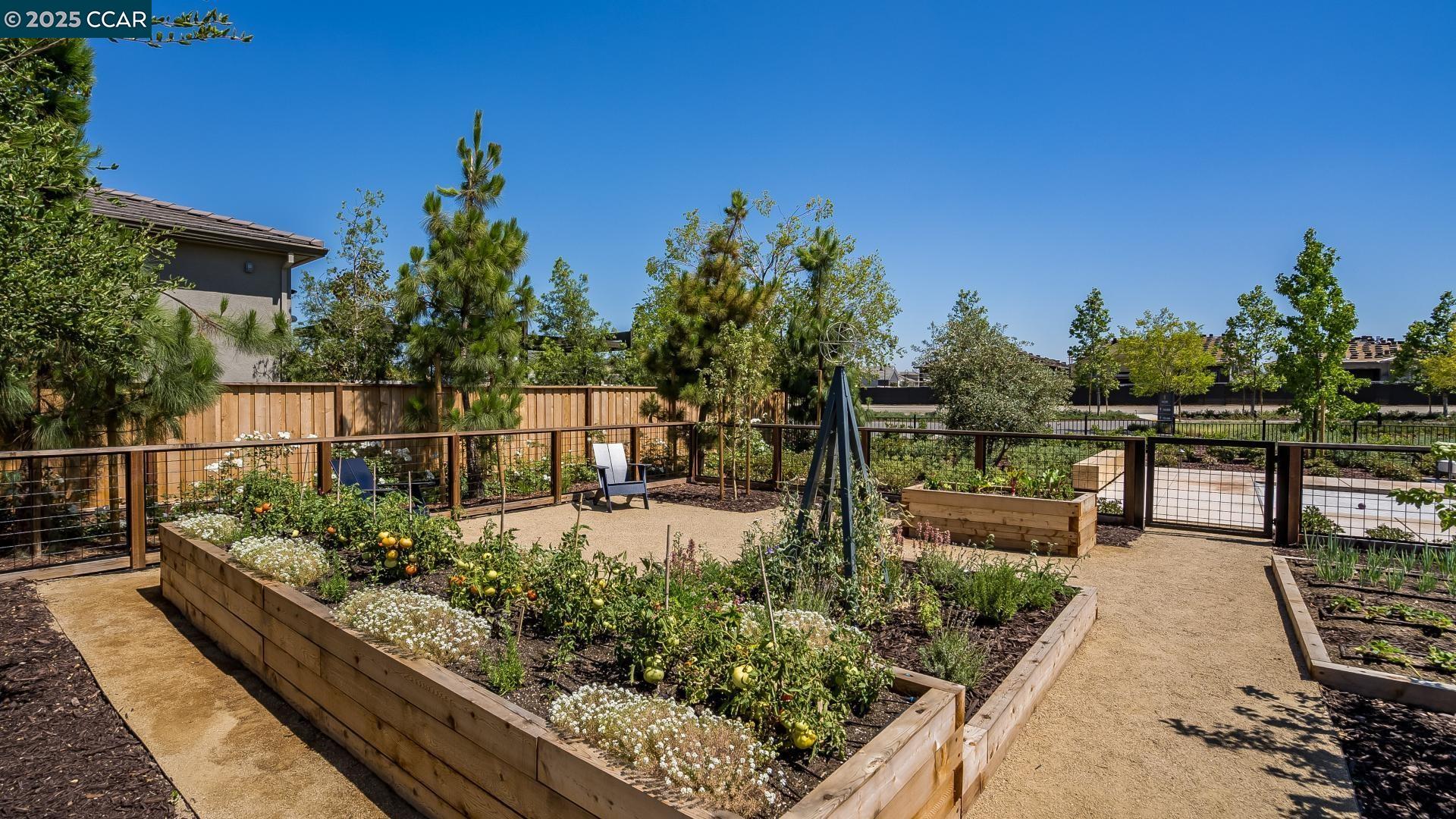 Detail Gallery Image 29 of 30 For 3135 Echo Way, Tracy,  CA 95377 - 3 Beds | 2/1 Baths