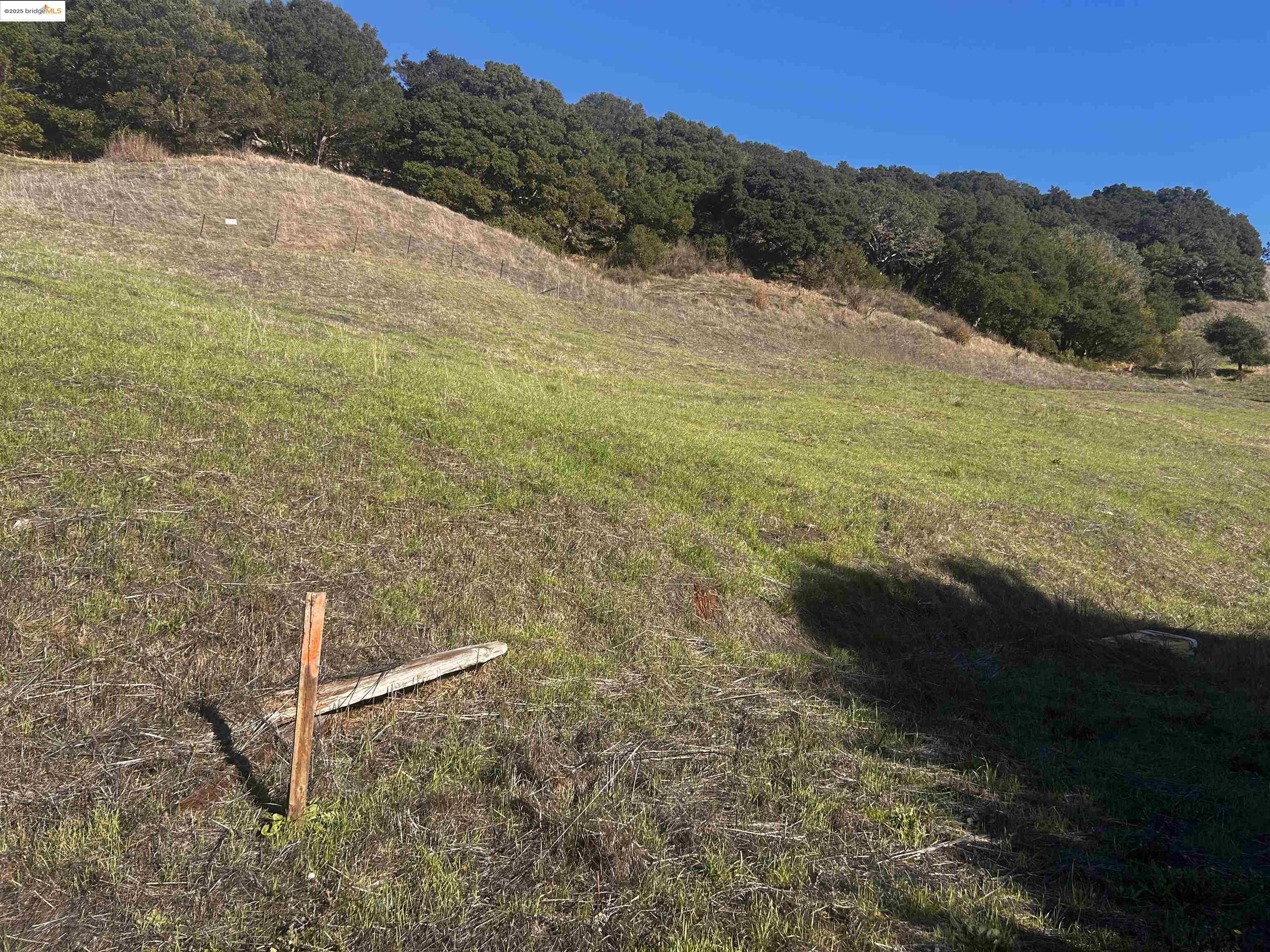 Detail Gallery Image 11 of 13 For 7 Abbey Ln, El Sobrante,  CA 94803 - – Beds | – Baths