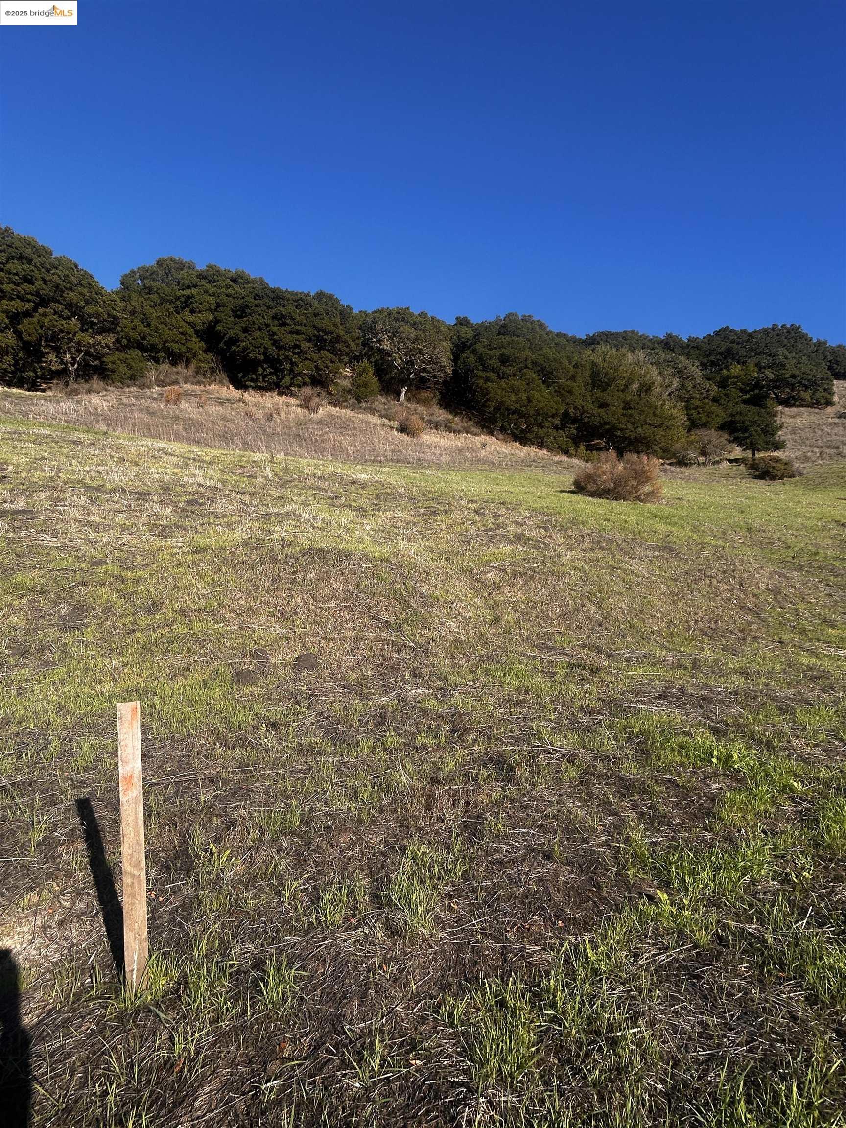 Detail Gallery Image 8 of 13 For 7 Abbey Ln, El Sobrante,  CA 94803 - – Beds | – Baths