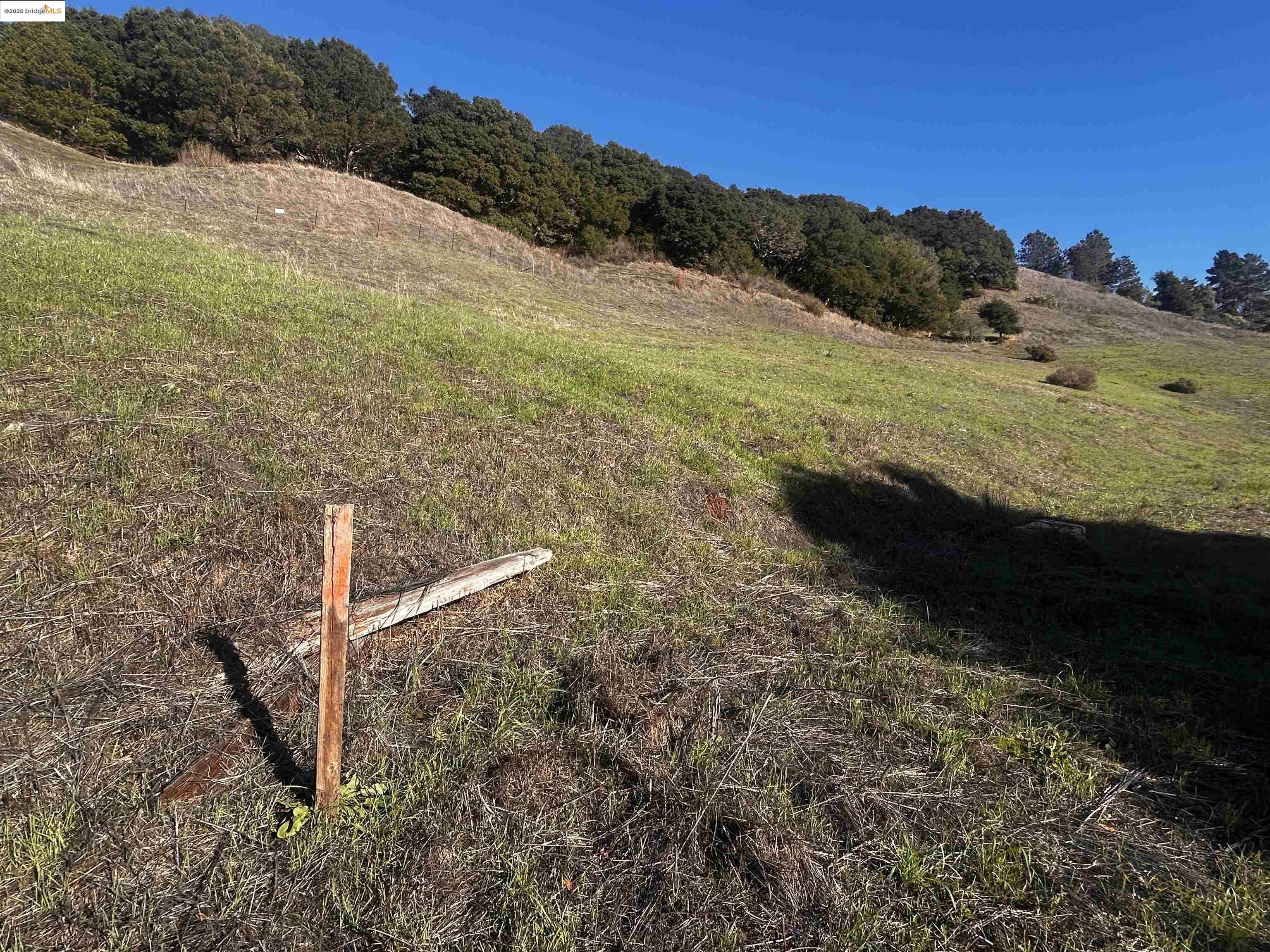 Detail Gallery Image 10 of 13 For 7 Abbey Ln, El Sobrante,  CA 94803 - – Beds | – Baths