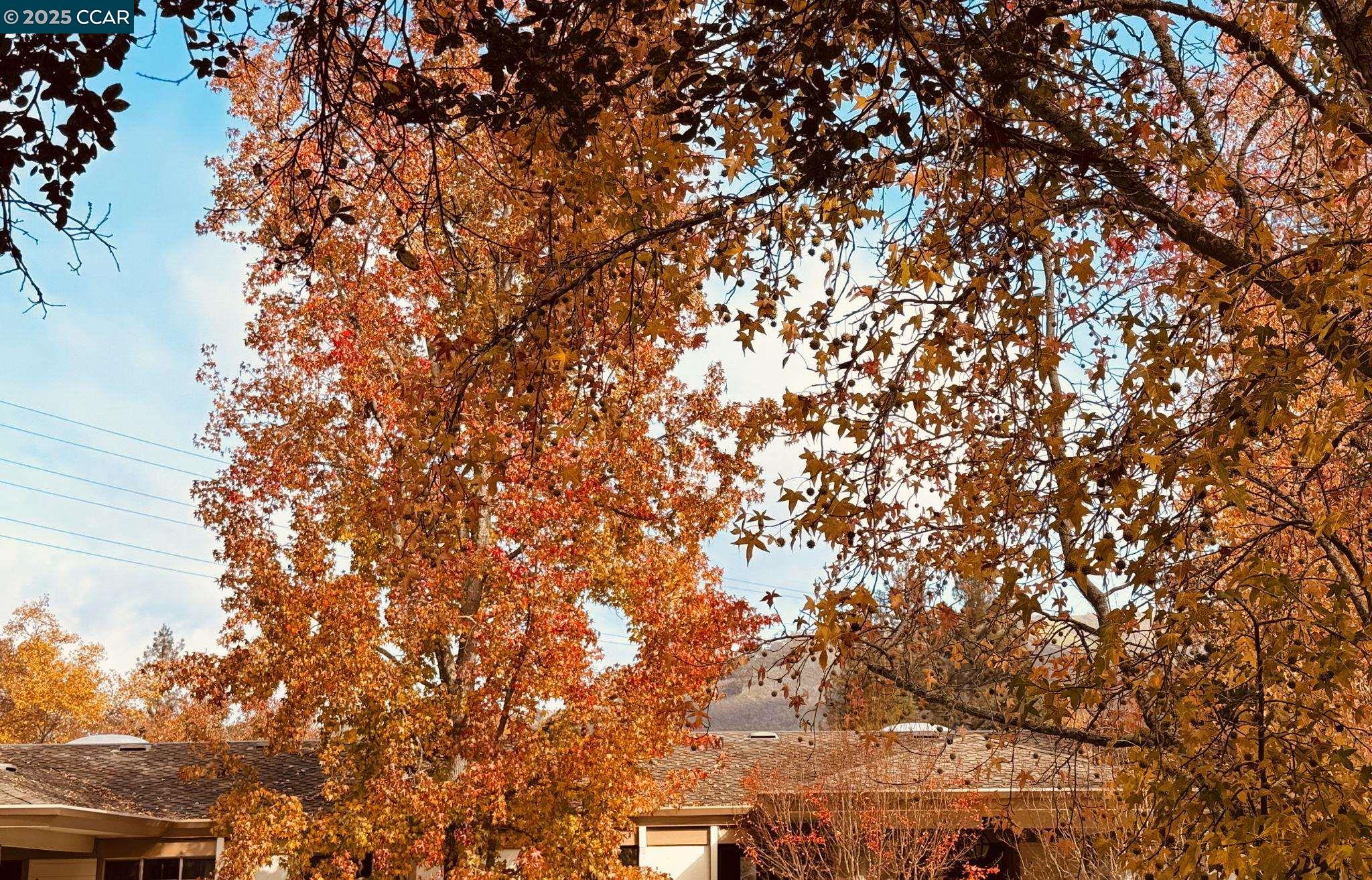 Photo #16: 41118233 Listing: Photo #16