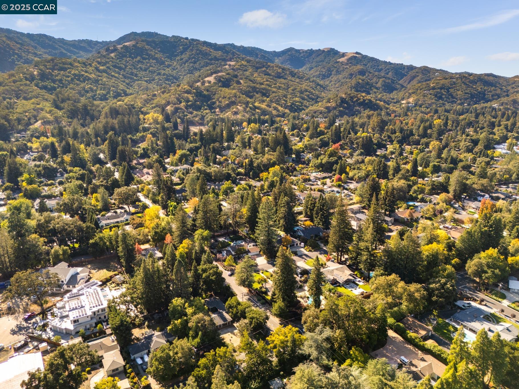 Detail Gallery Image 9 of 10 For 80 Dot Drive, Alamo,  CA 94507 - – Beds | – Baths