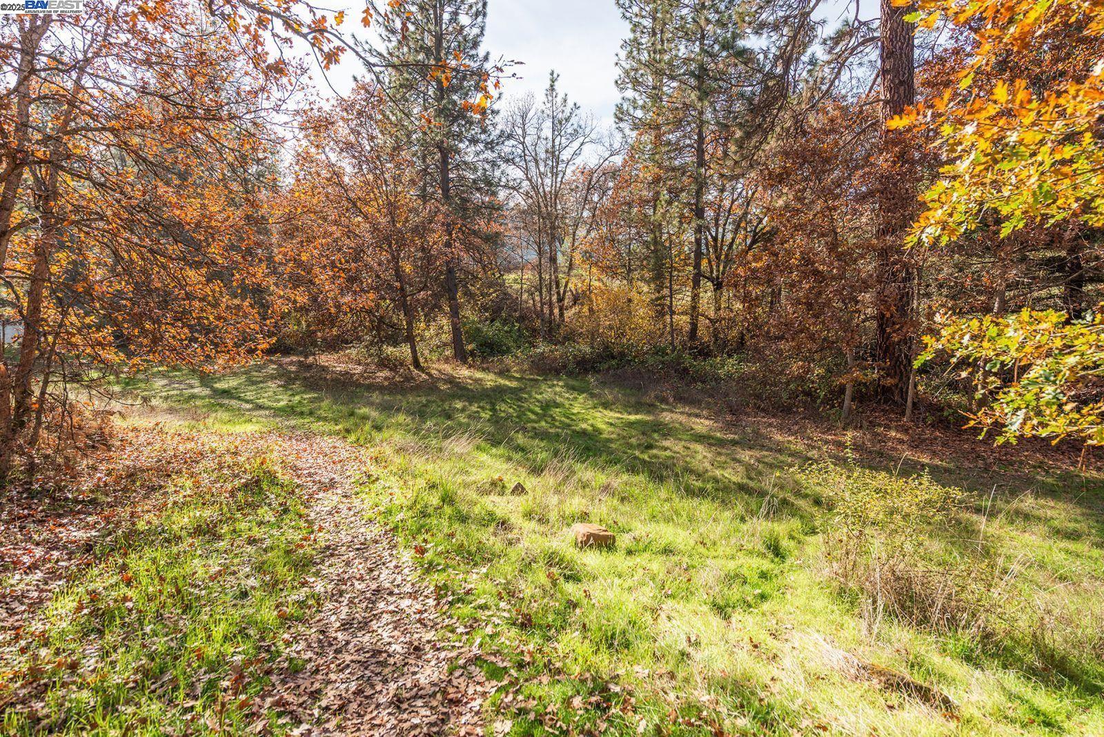 Detail Gallery Image 45 of 49 For , –,  CA 96093-0000 - – Beds | – Baths