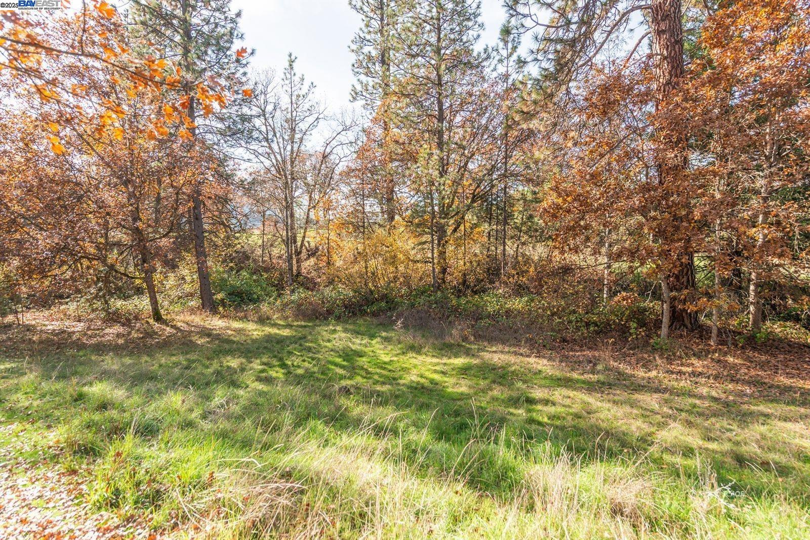 Detail Gallery Image 46 of 49 For , –,  CA 96093-0000 - – Beds | – Baths