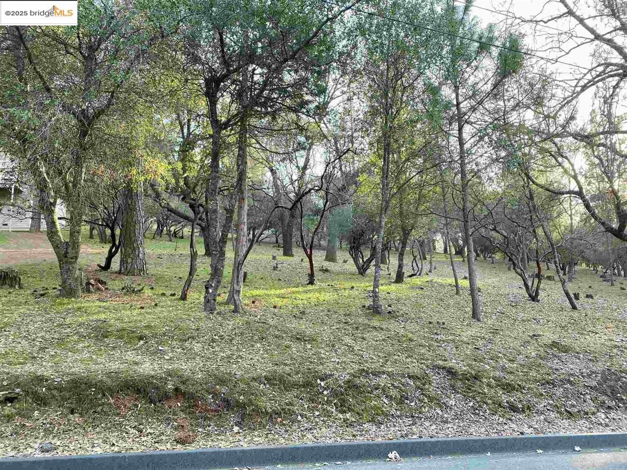 Front Image Thumbnail for EB41118256