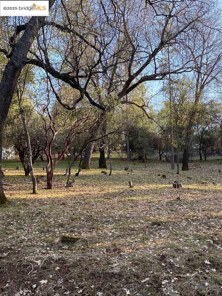 Detail Gallery Image 4 of 47 For 13177 Jackson Mill Drive, Groveland,  CA 95321 - – Beds | – Baths