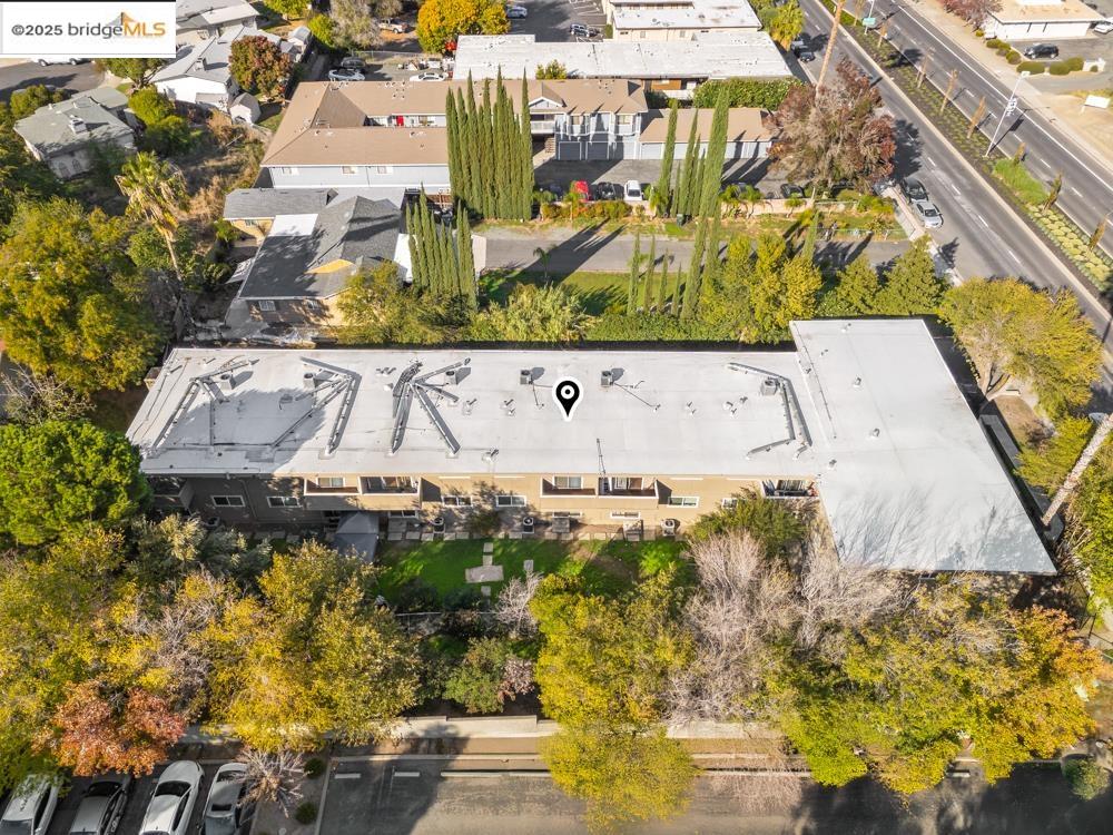 Photo #12: 41118257 Listing: Photo #12