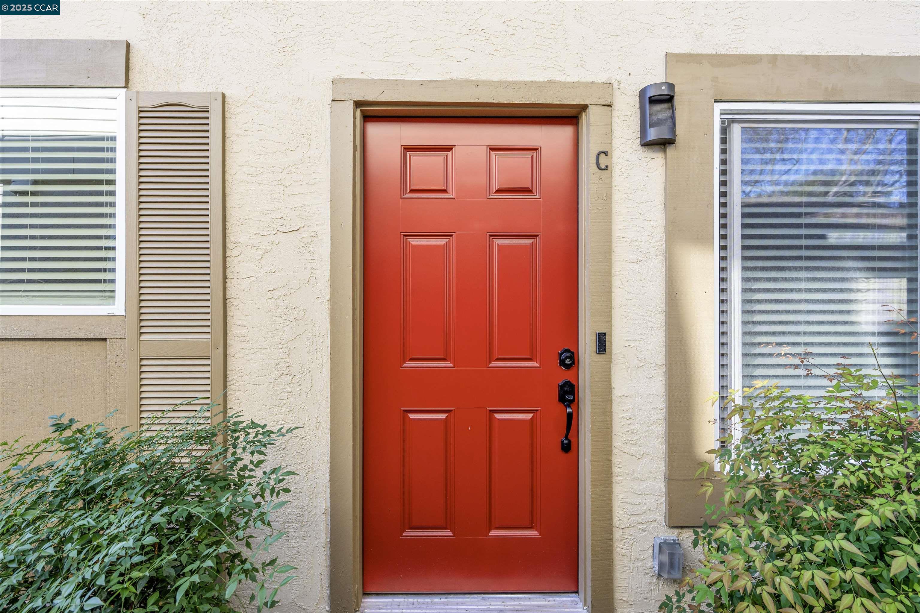 Front Image Thumbnail for CC41118260