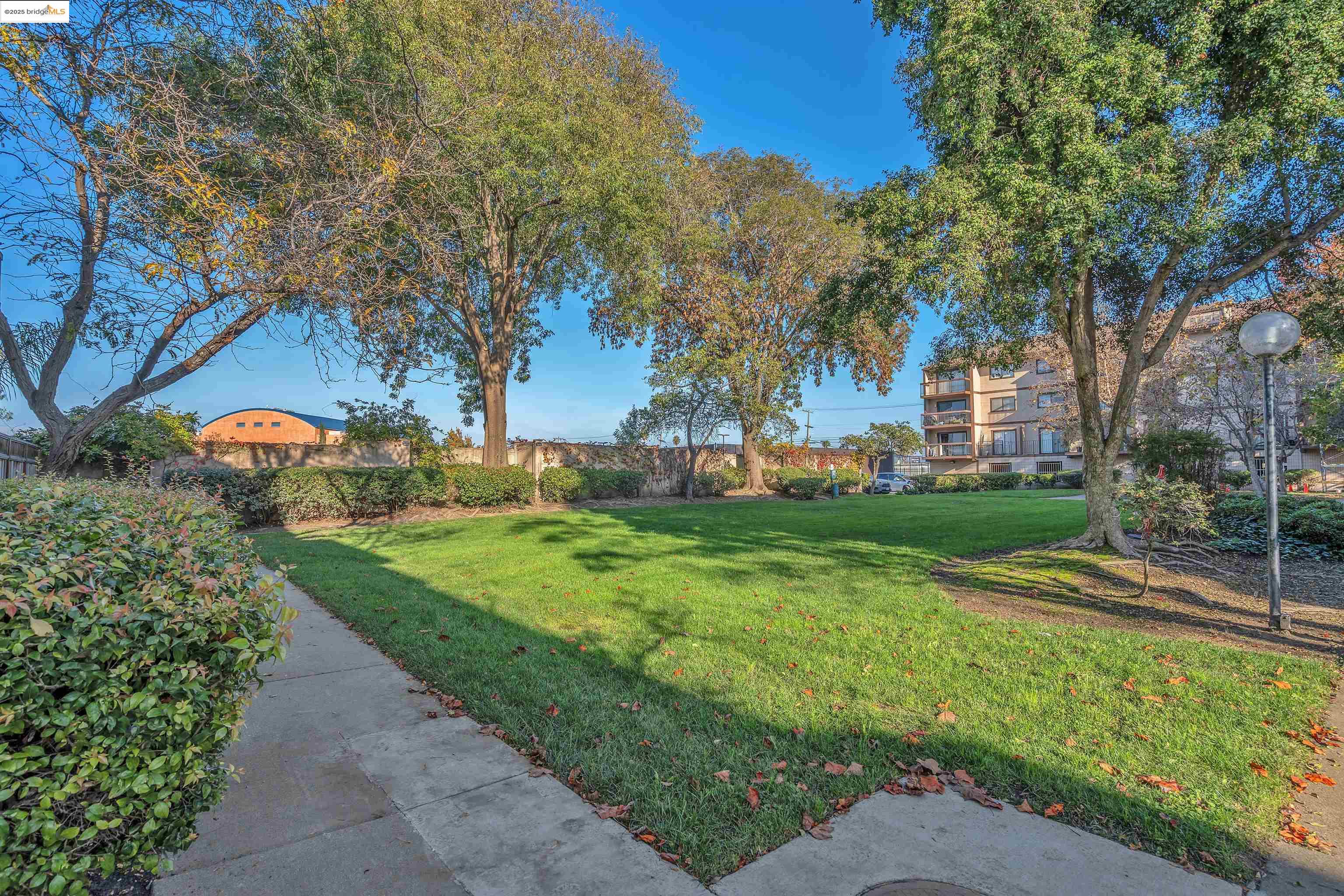 Photo #21: 41118262 Listing: Photo #21