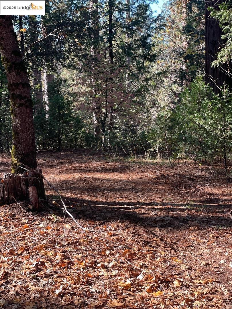 Detail Gallery Image 4 of 5 For 22447 Ponderosa Dr, Twain Harte,  CA 95383 - – Beds | – Baths