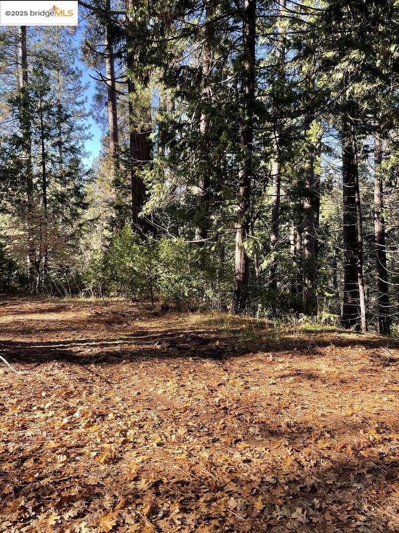 Detail Gallery Image 5 of 5 For 22447 Ponderosa Dr, Twain Harte,  CA 95383 - – Beds | – Baths