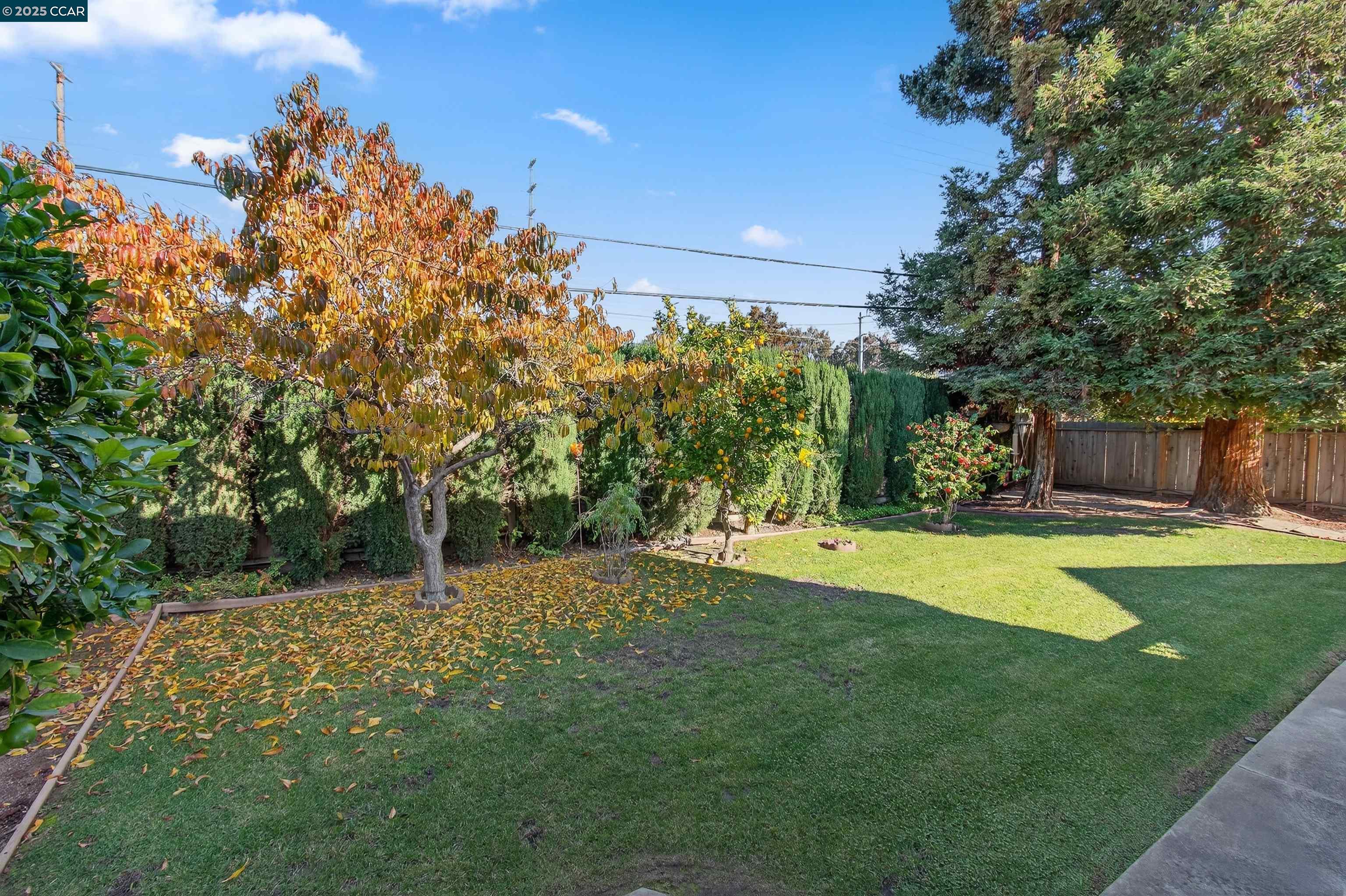 Detail Gallery Image 49 of 58 For 2425 Alvarado Dr, Santa Clara,  CA 95051 - 9 Beds | 5/1 Baths